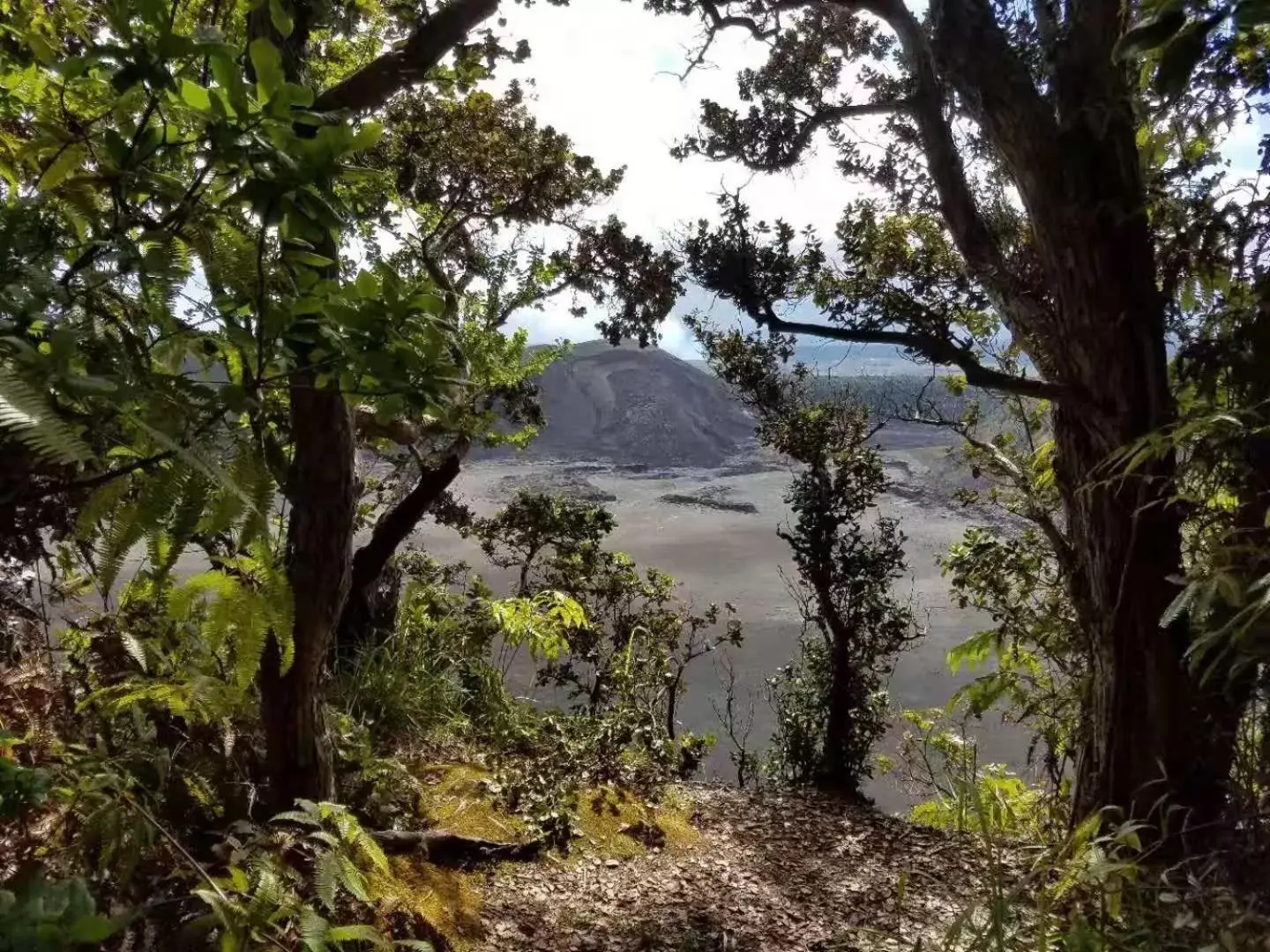 Hiking in Volcano Forest Inn