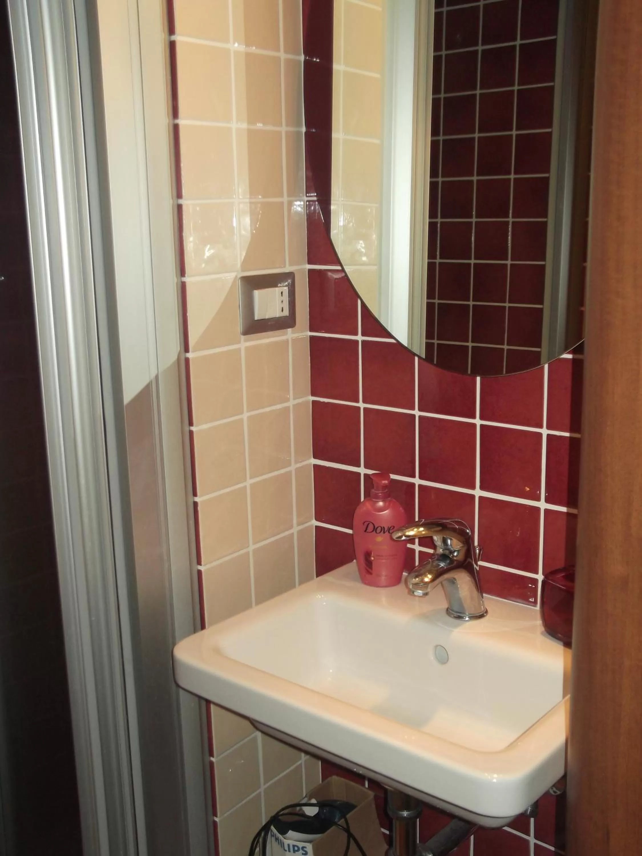 Bathroom in Medieval House