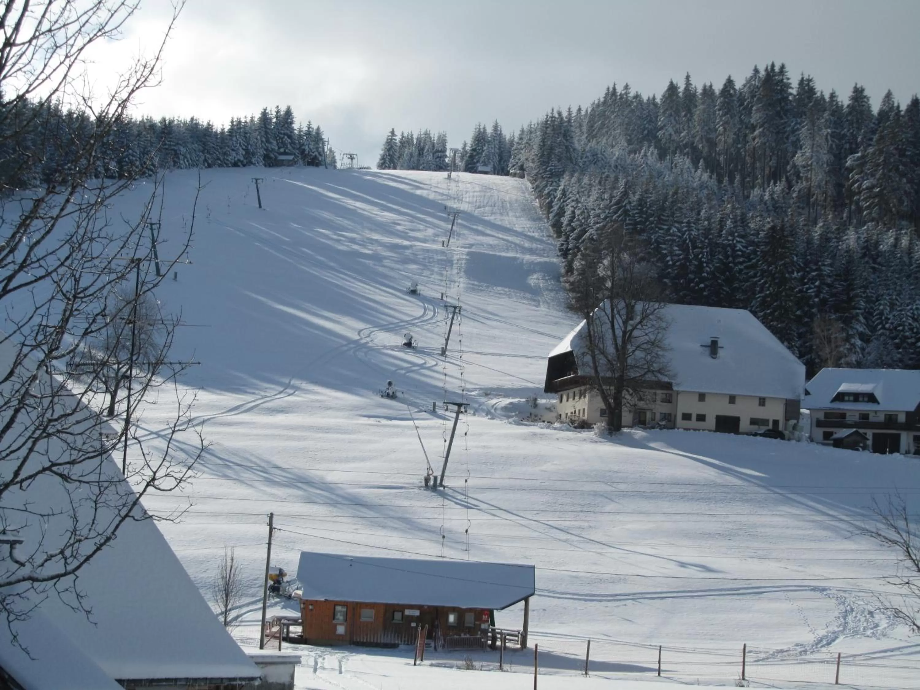Natural landscape in ZUR TRAUBE Schwarzwaldhotel & Restaurant am Titisee
