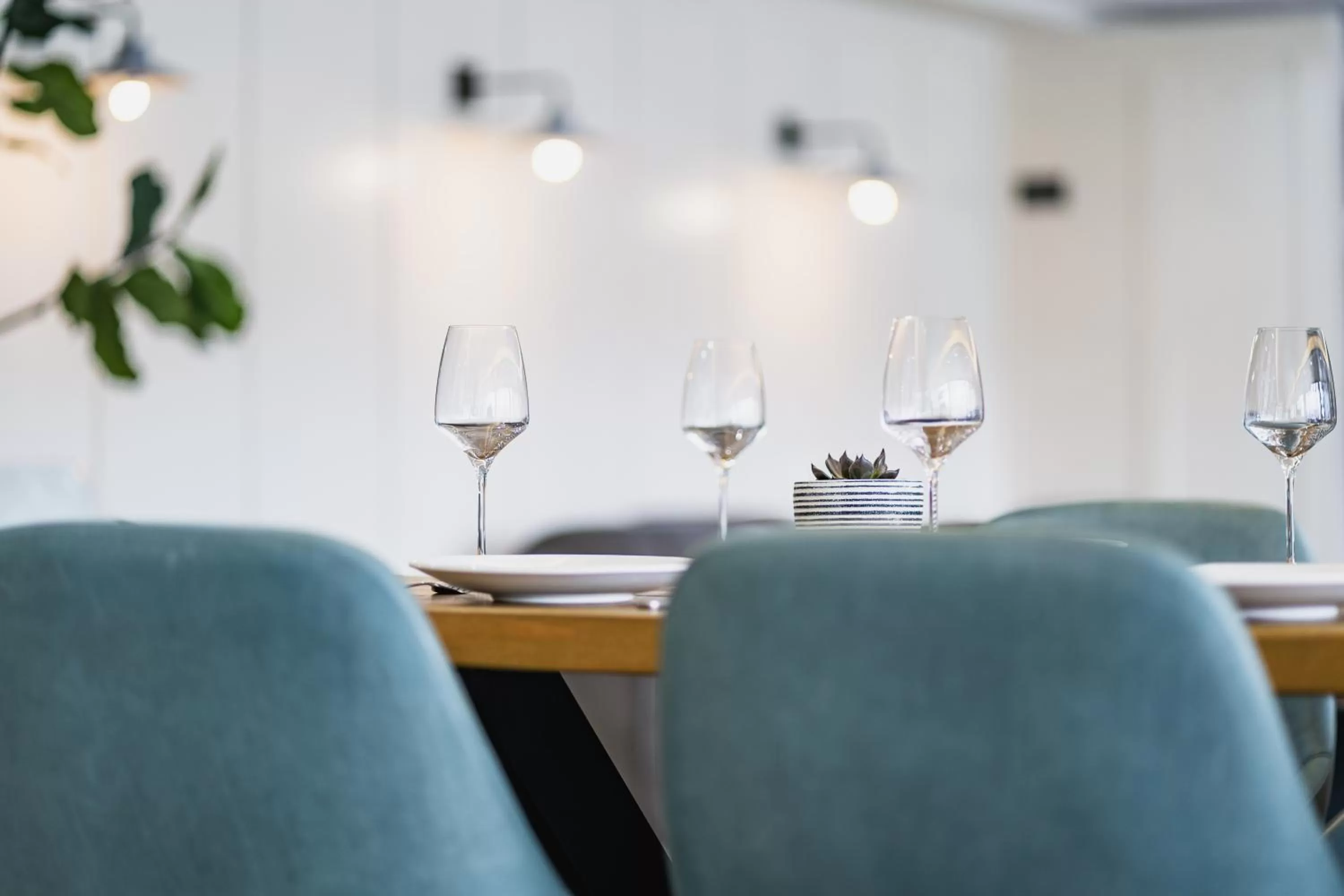 Food and drinks in Aberystwyth Park Lodge Hotel