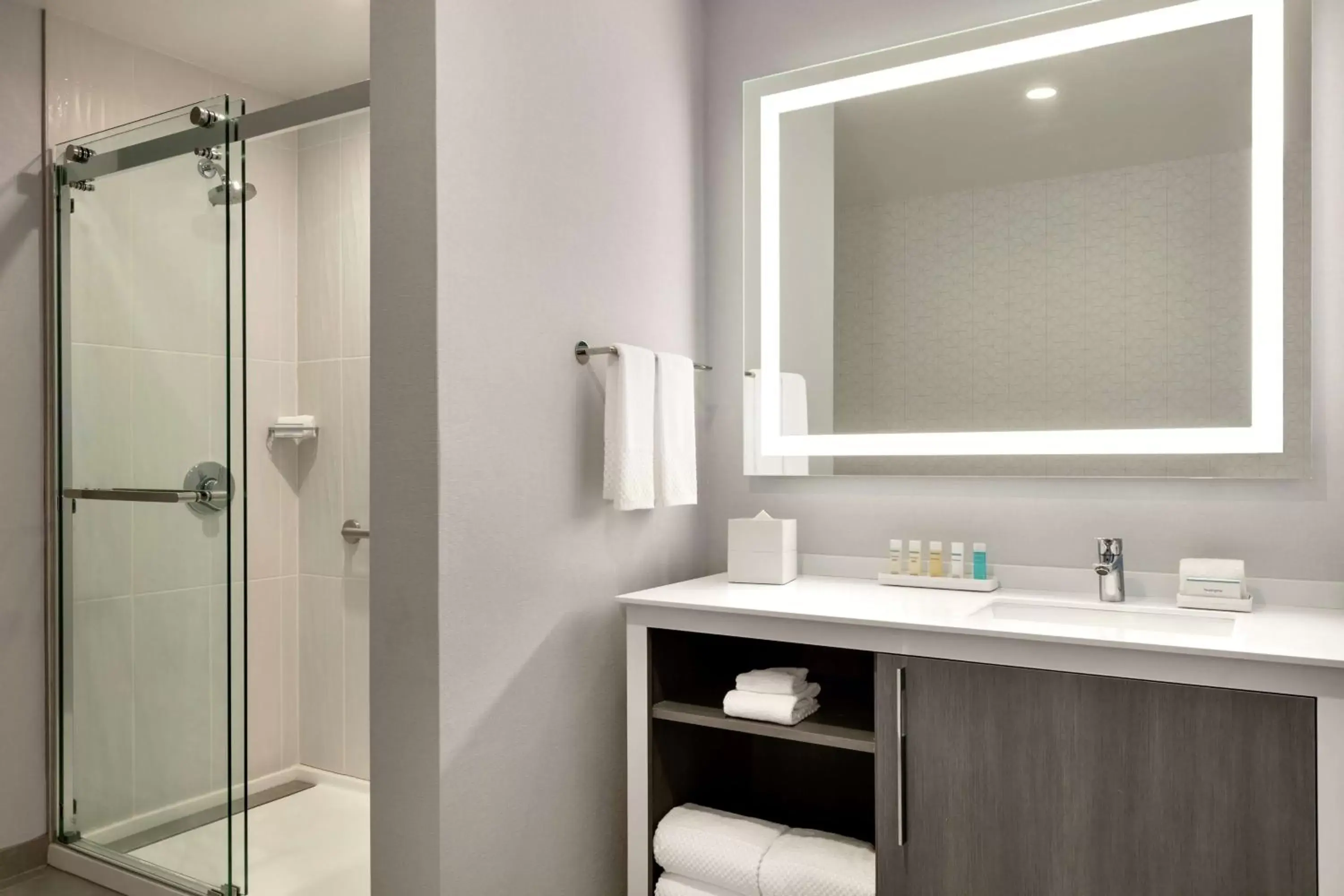 Bathroom in Embassy Suites by Hilton Atlanta Midtown