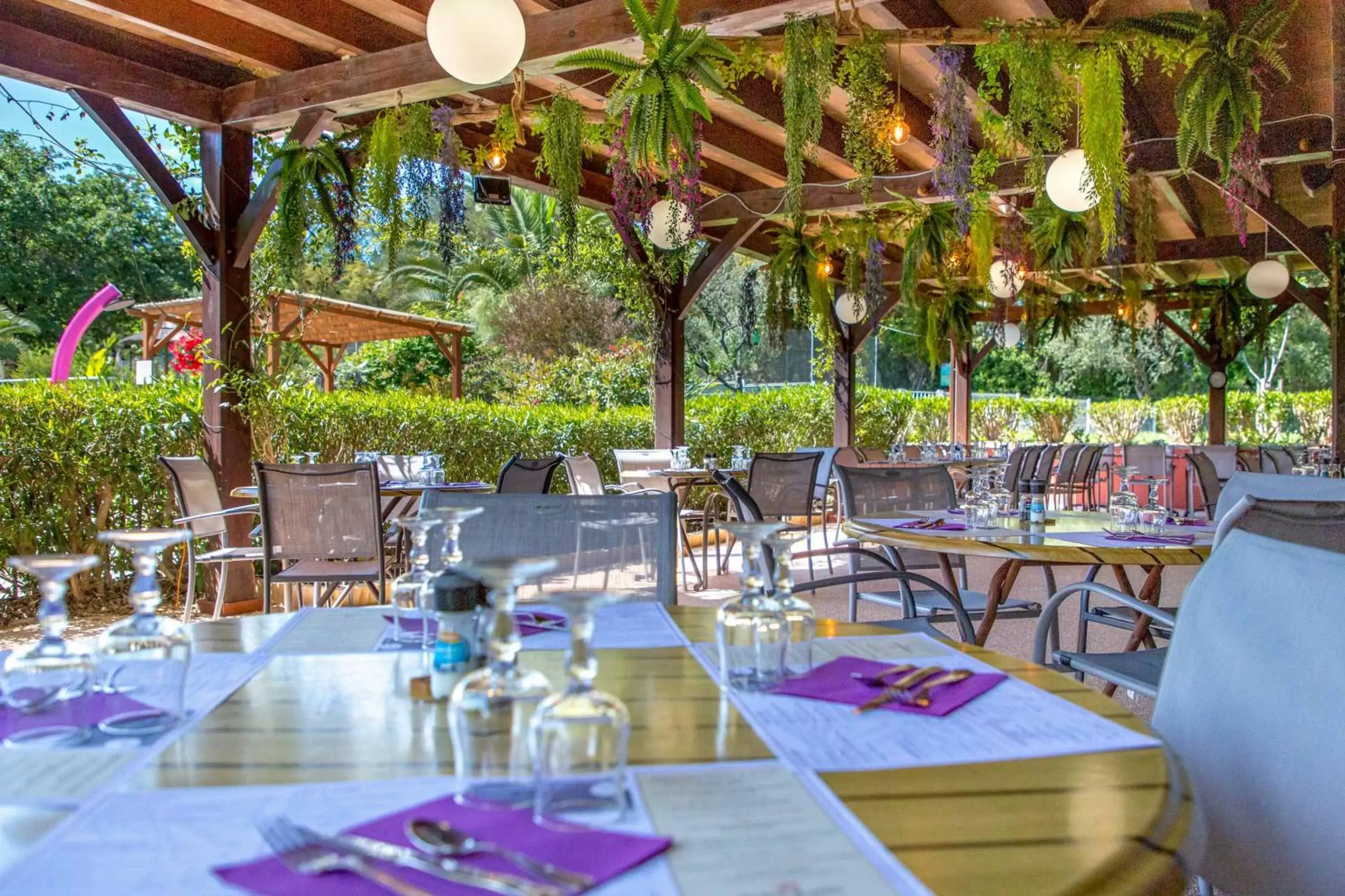 Restaurant/Places to Eat in Les Pins Blancs en Provence