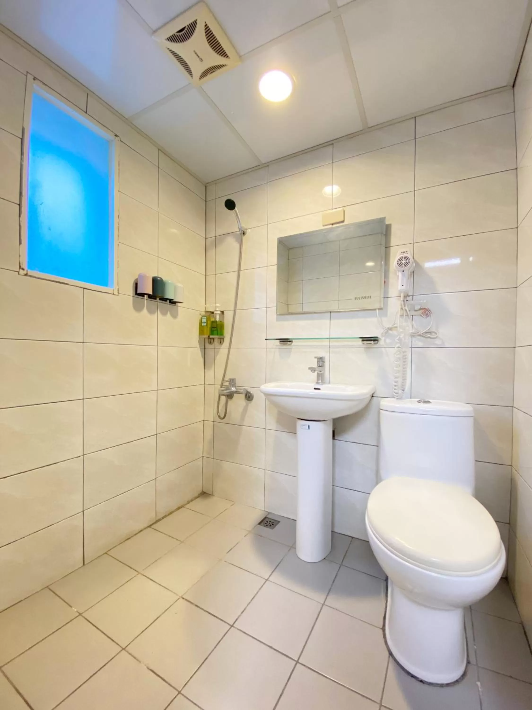 Toilet in Sharon Inn