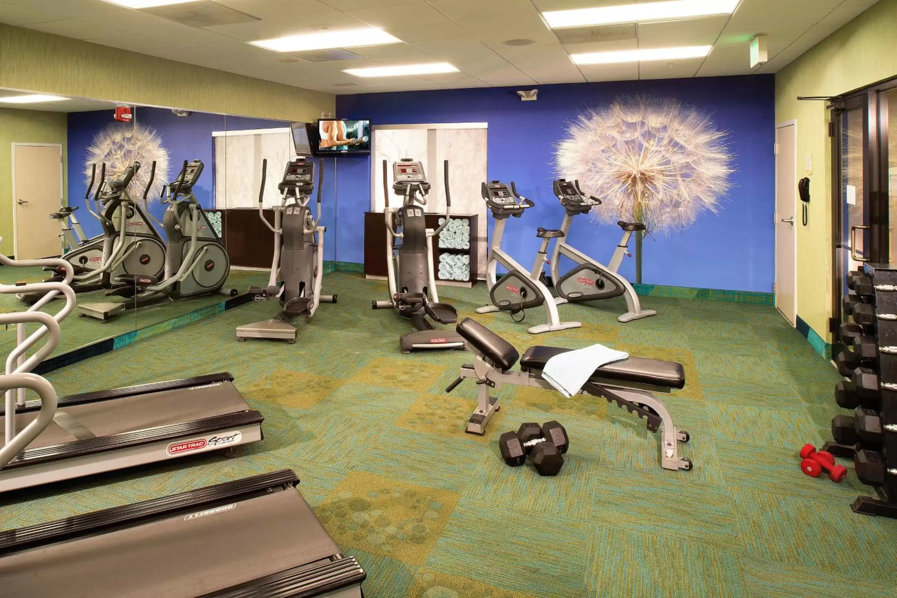 Fitness centre/facilities, Fitness Center/Facilities in SpringHill Suites by Marriott Annapolis