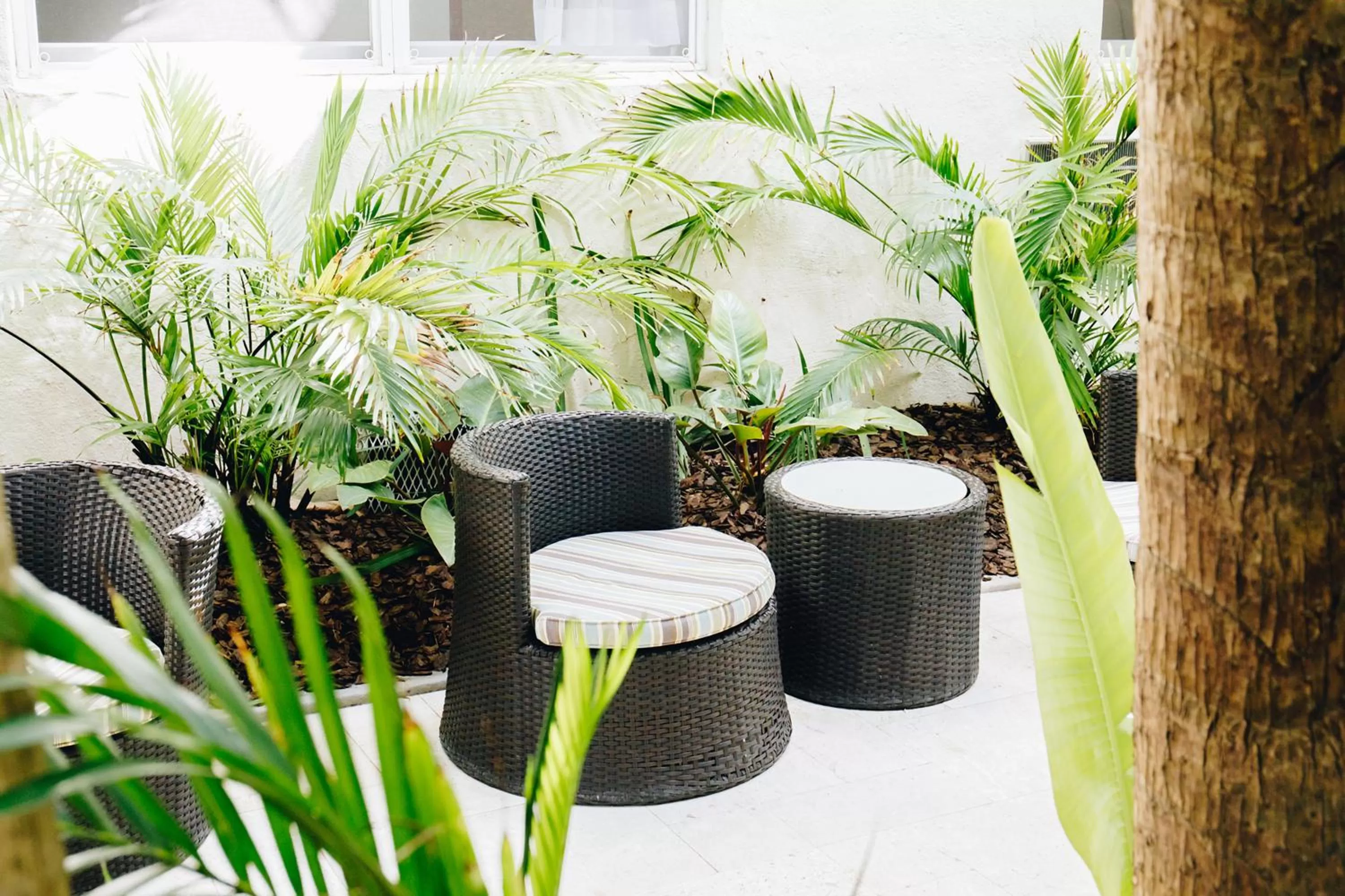 Patio in Riviere South Beach Hotel