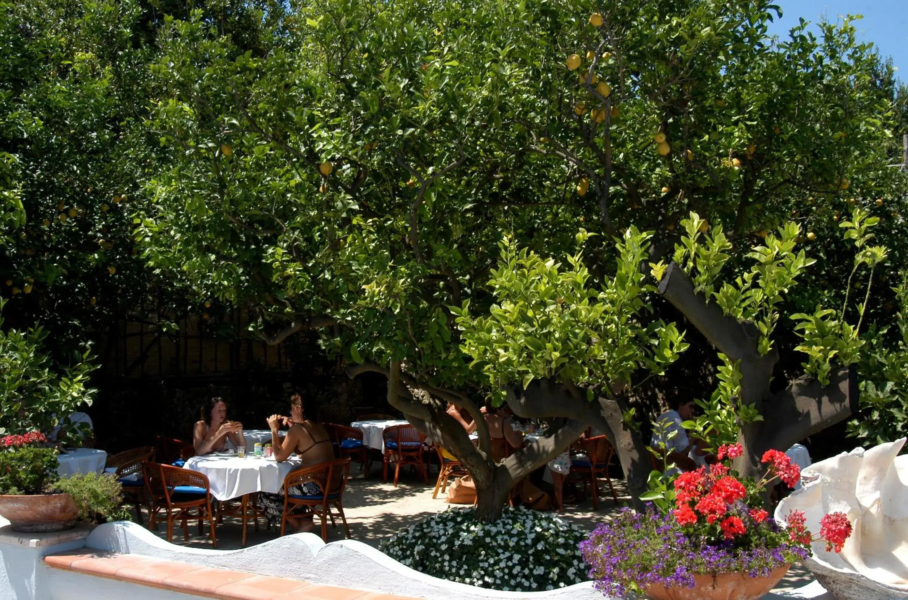 Balcony/Terrace, Restaurant/Places to Eat in Hotel San Felice