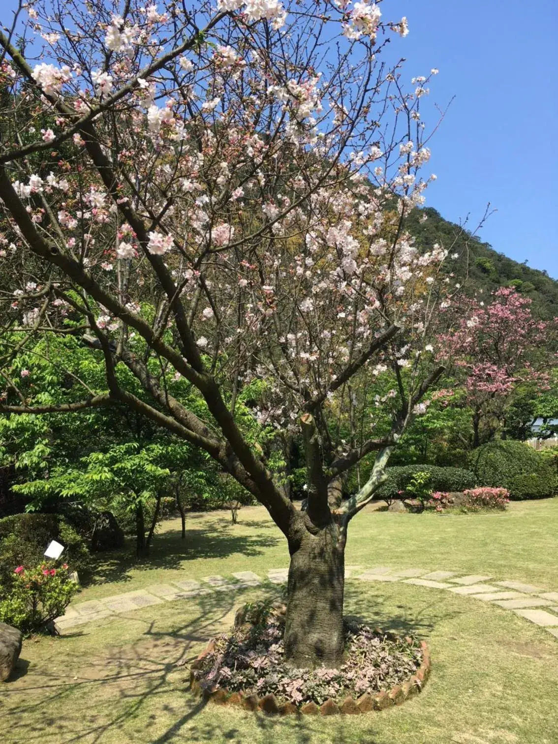 Natural landscape, Garden in Landis Resort Yangmingshan