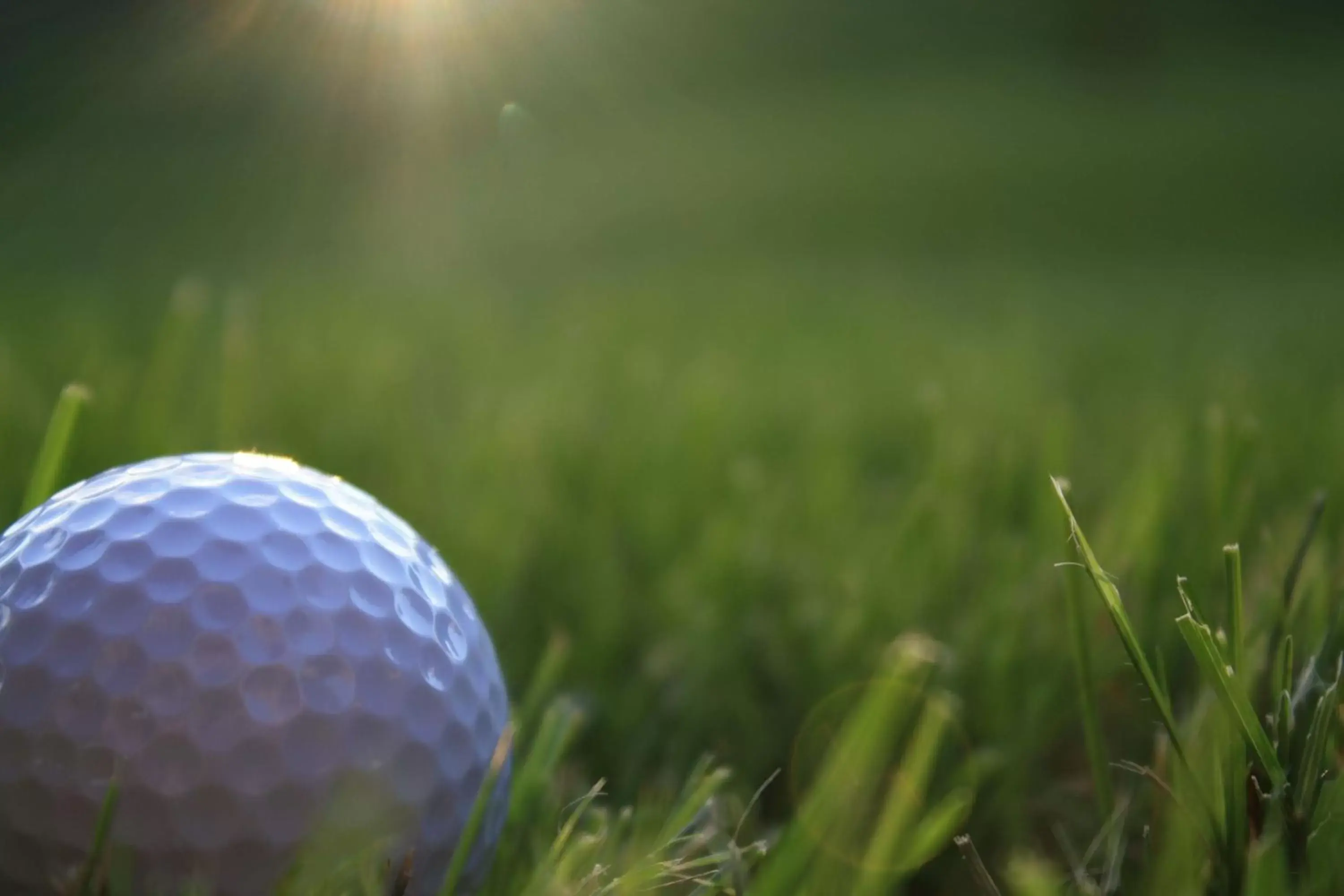 Sports, Golf in Hampton Inn Orange City