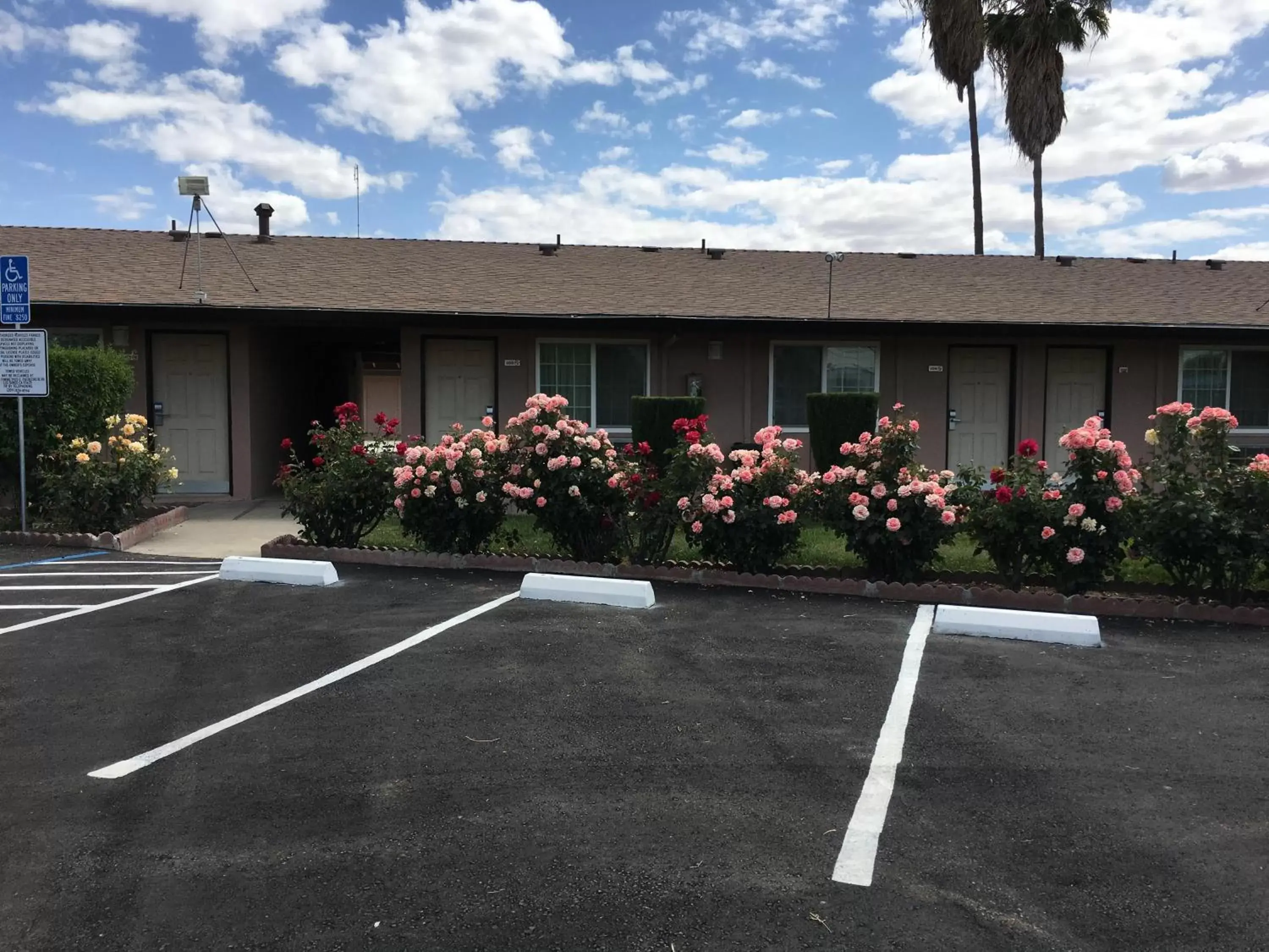 Maple Inn and Suites Los Banos