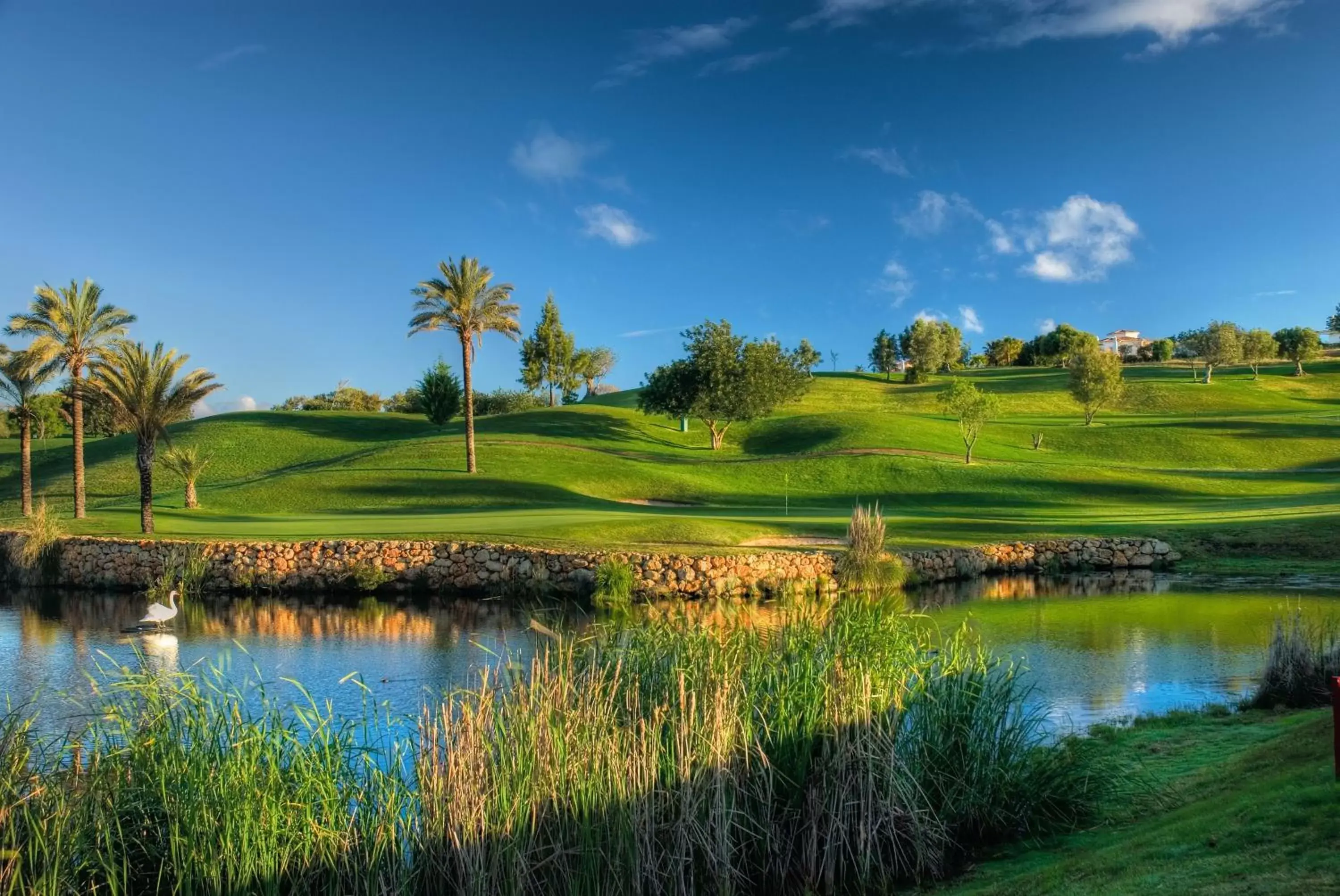 Golfcourse, Natural Landscape in Costa d'Oiro Ambiance Village