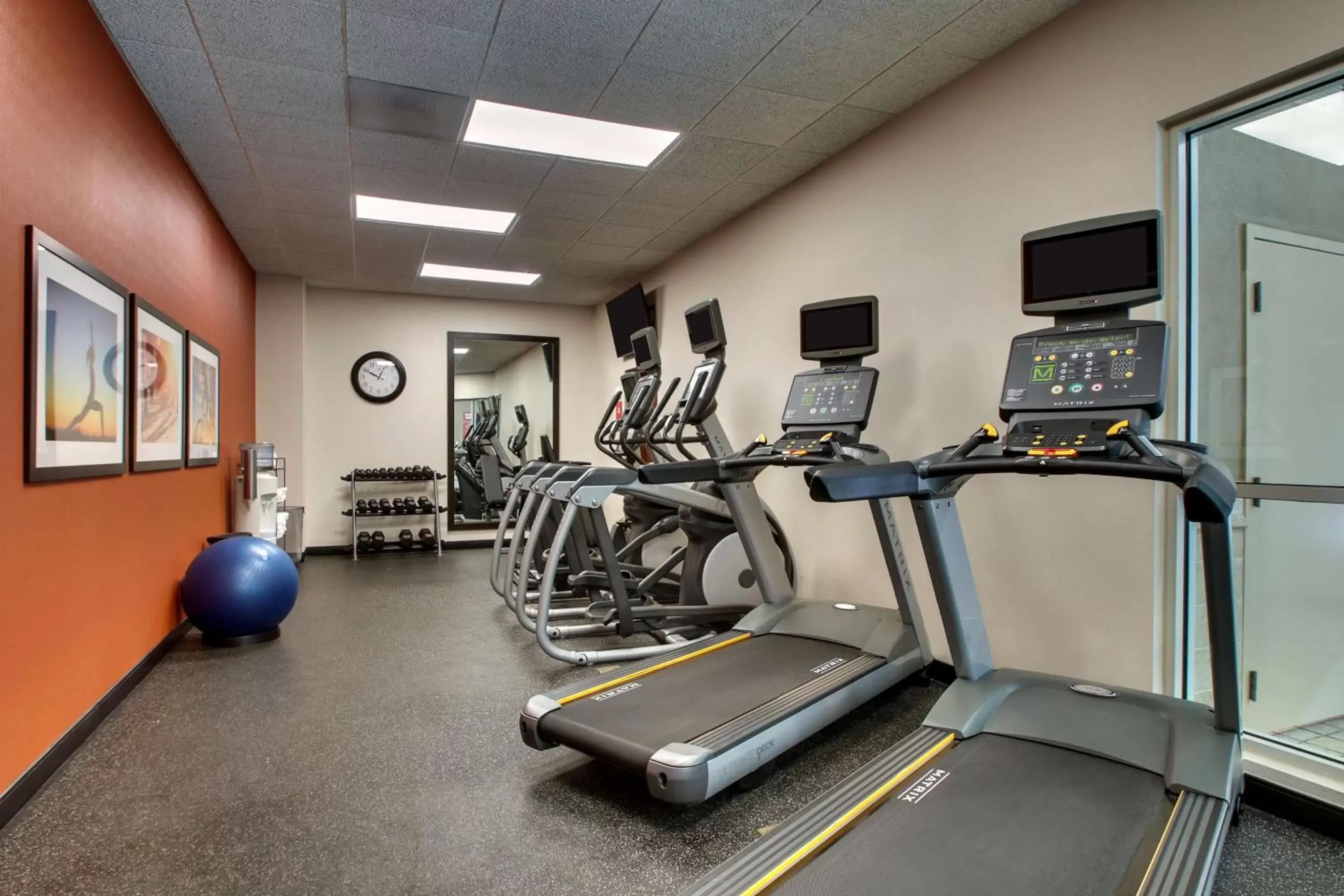 Spa and wellness centre/facilities, Fitness Center/Facilities in Drury Inn & Suites Charlotte Northlake