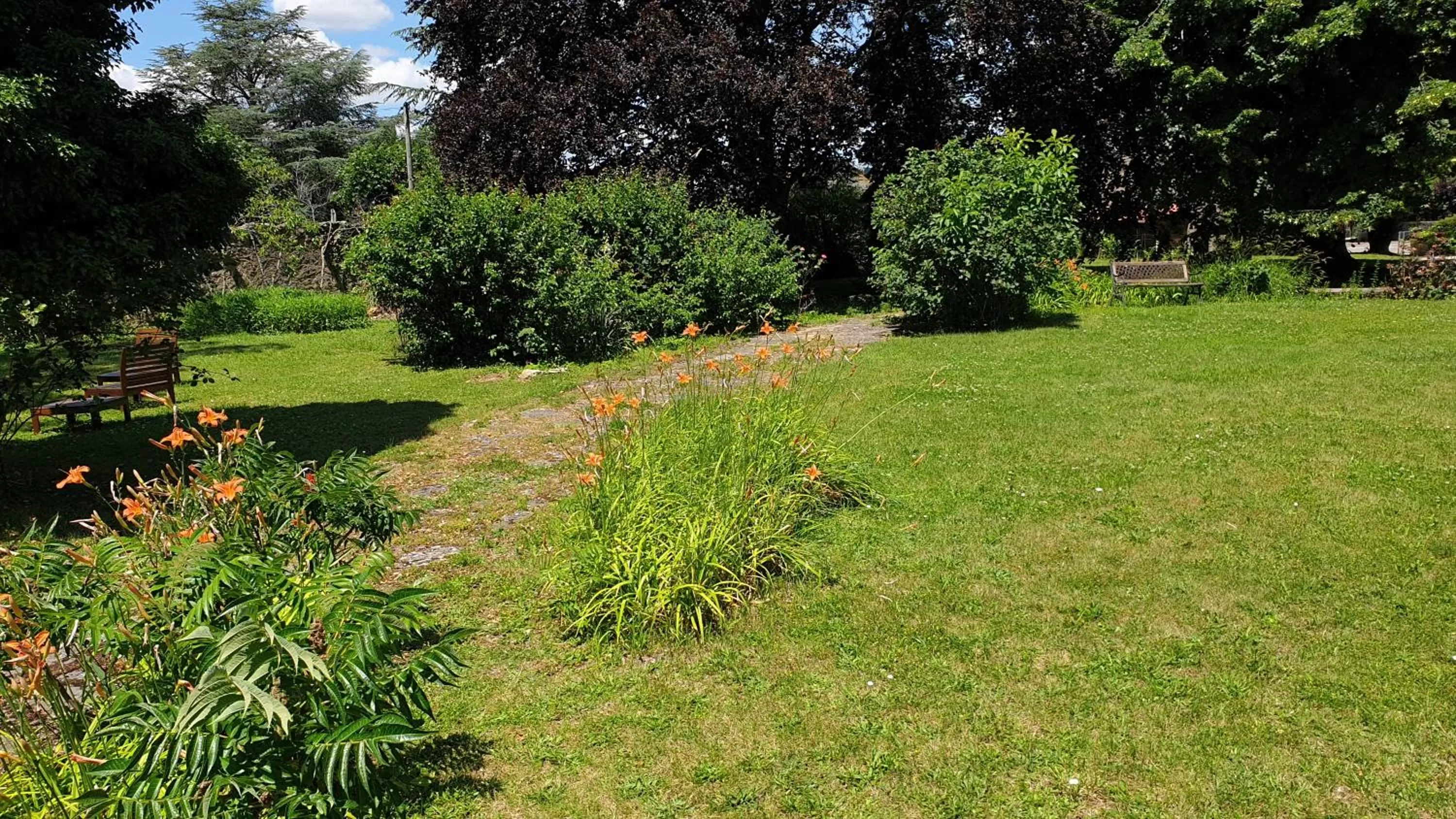 De passage chez Lili