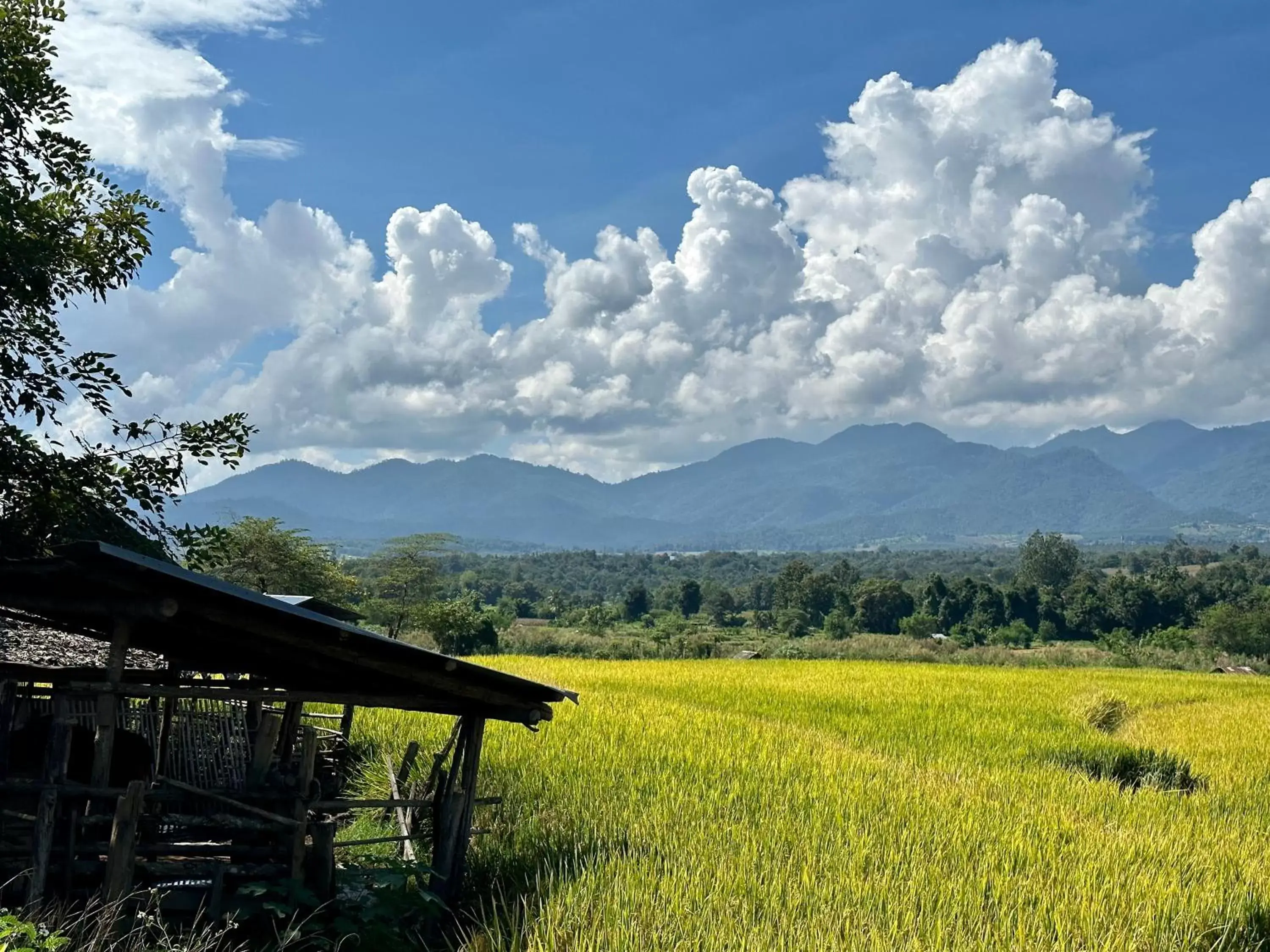 Natural landscape in Pura Vida Pai Resort