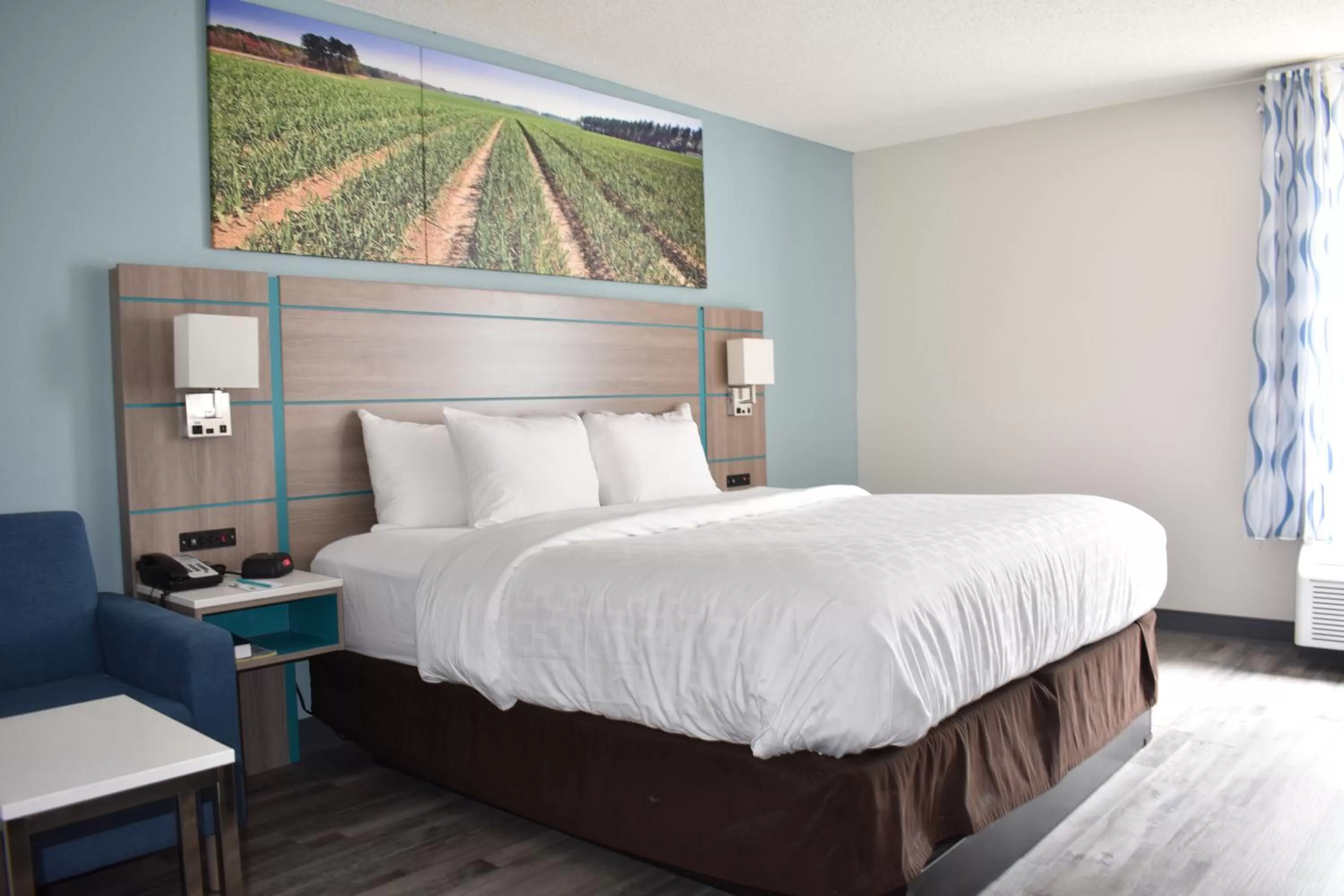 Bed in Clarion Pointe Vidalia - Lyons West