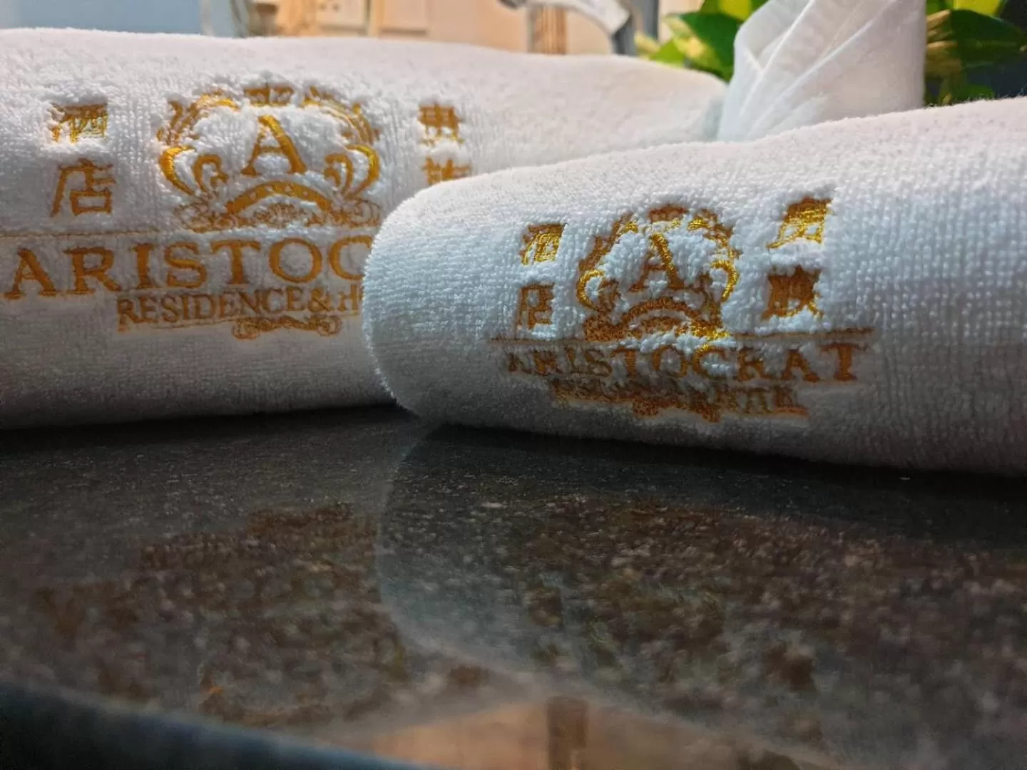 Property logo or sign in Aristocrat Residence & Hotel