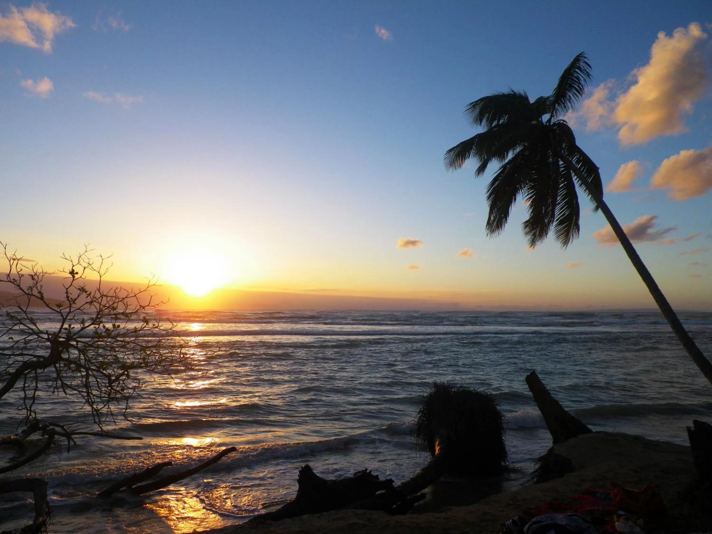 Beach in Casa Lily & Coco