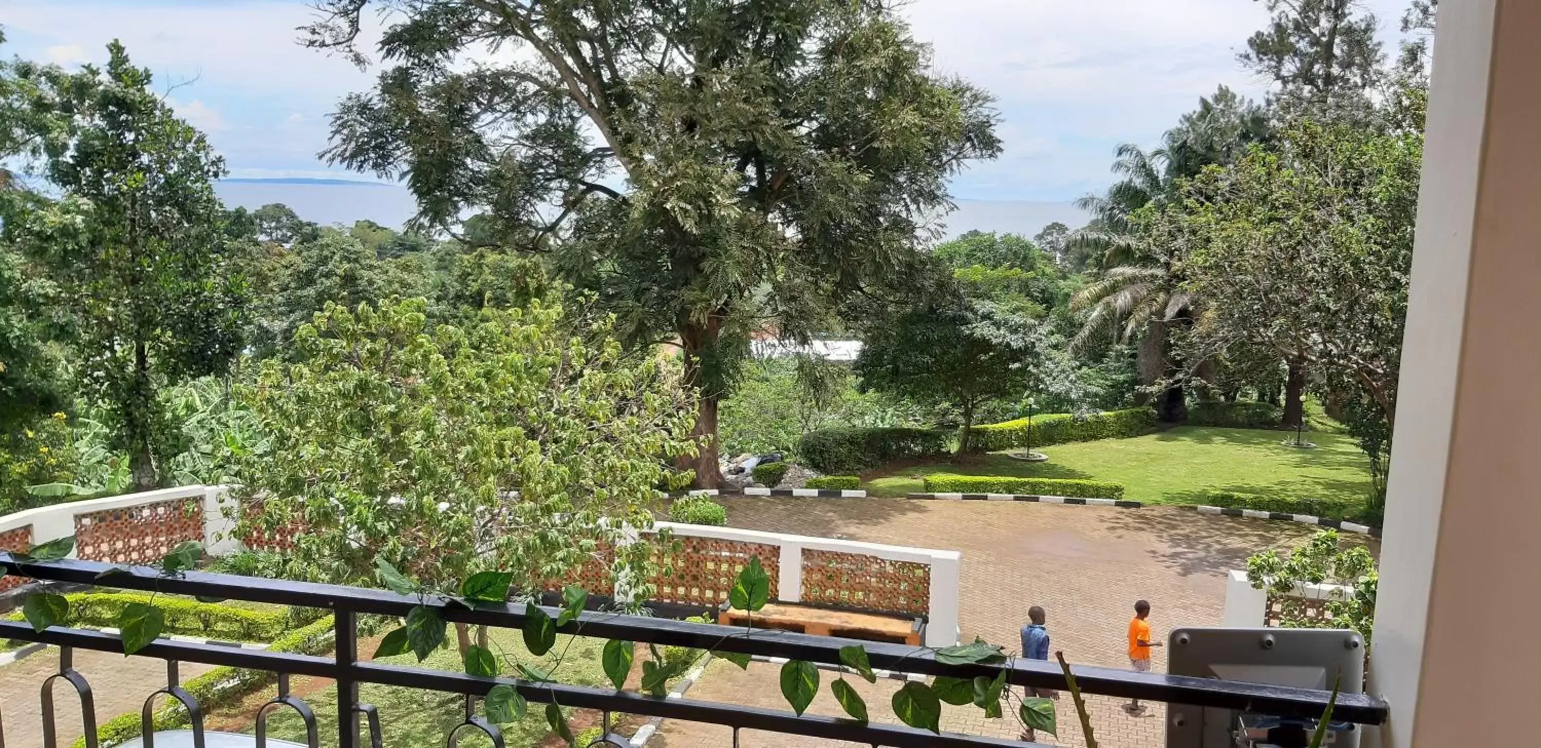 Single Room with Garden View - single occupancy in OKRA HOUSE Single Room with Garden View - single occupancy in OKRA HOUSE