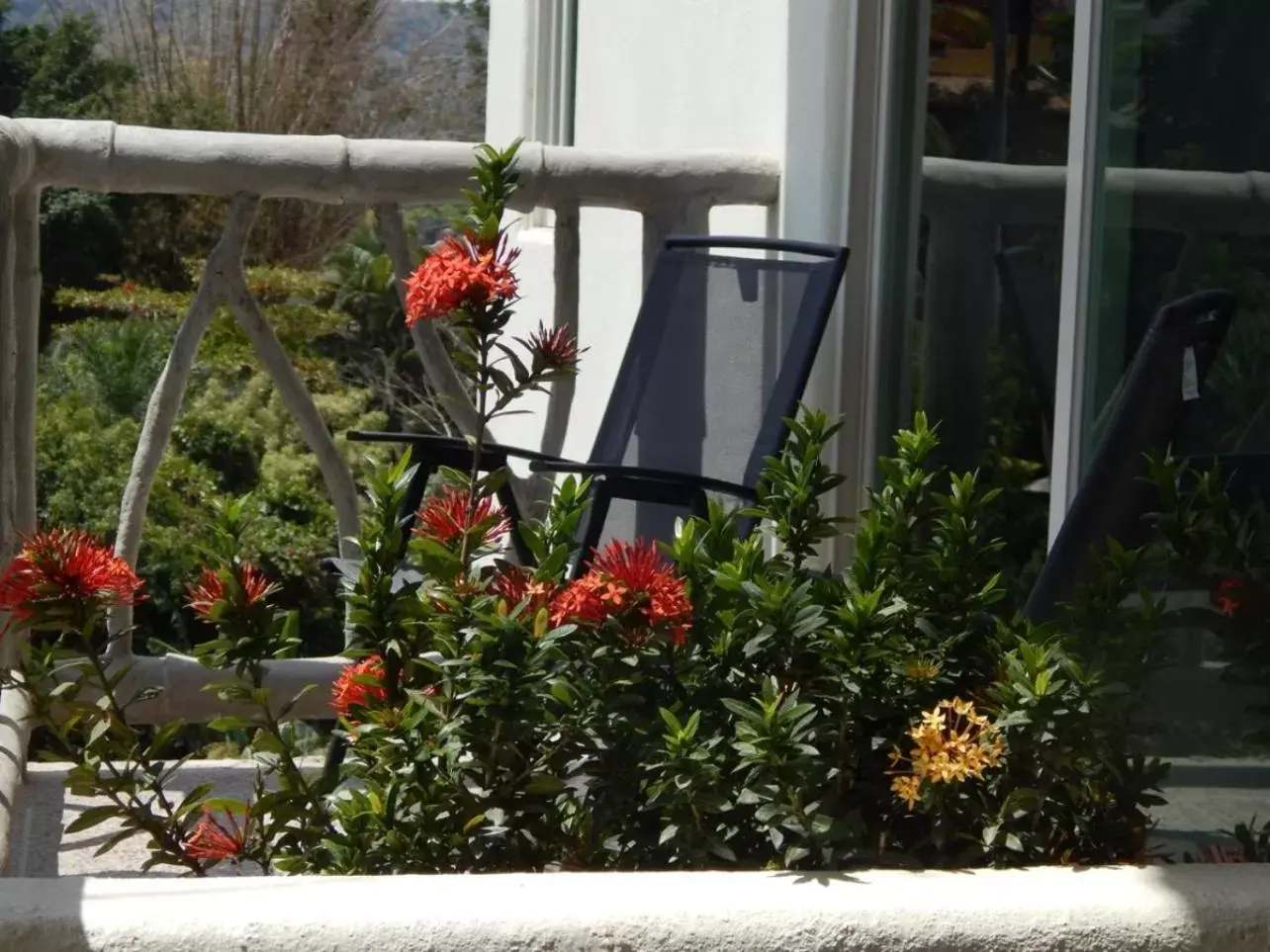 Balcony/Terrace in Villa Los Corales