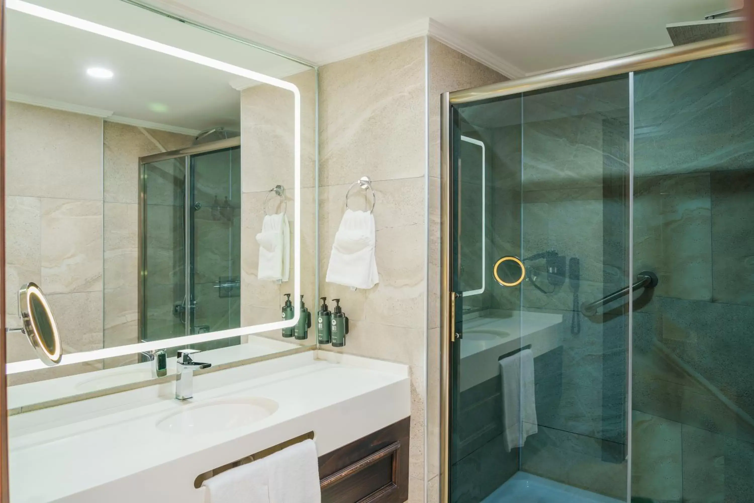 Shower, Bathroom in Ramada Plaza by Wyndham Silivri