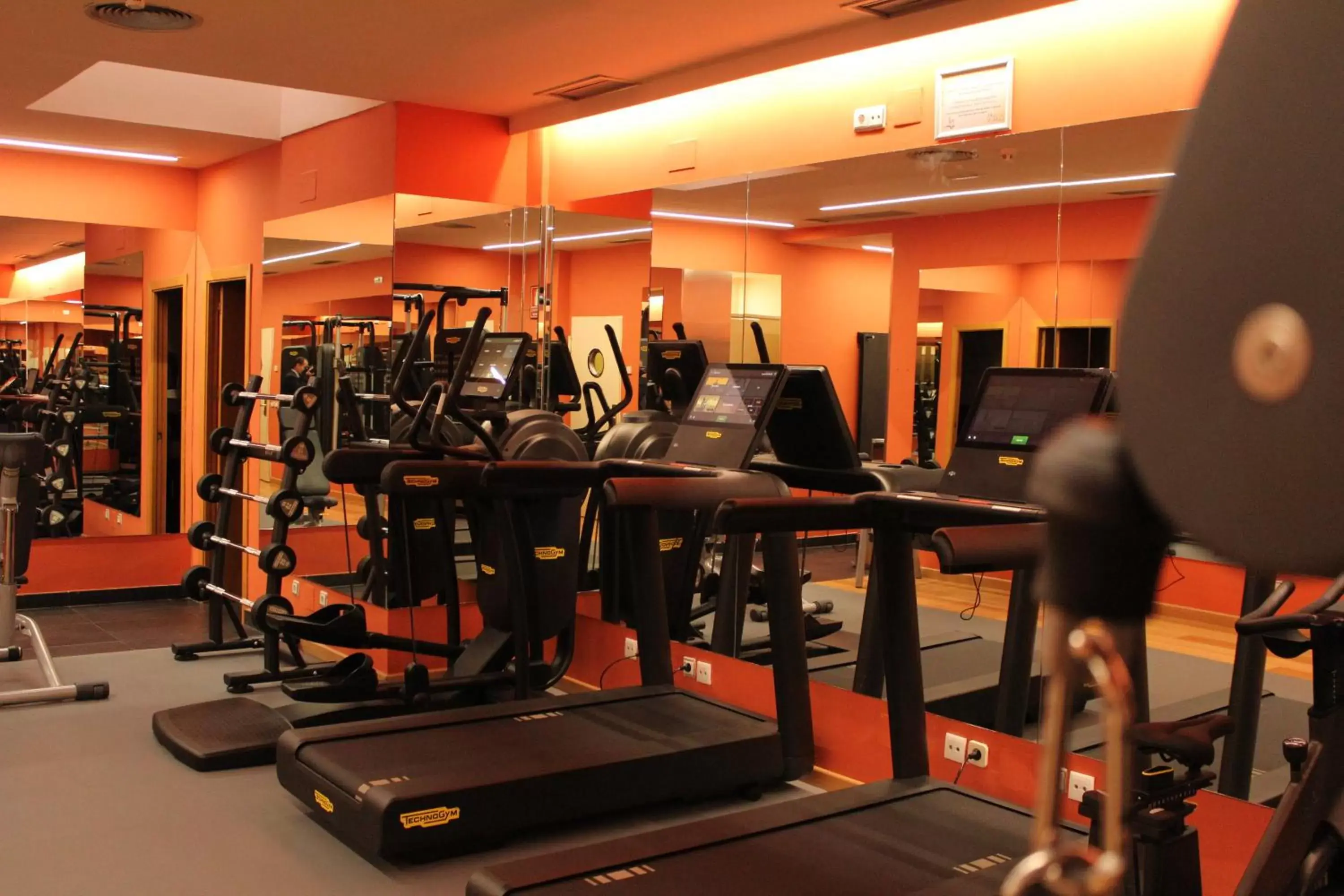 Fitness Center/Facilities in Hotel Villamadrid