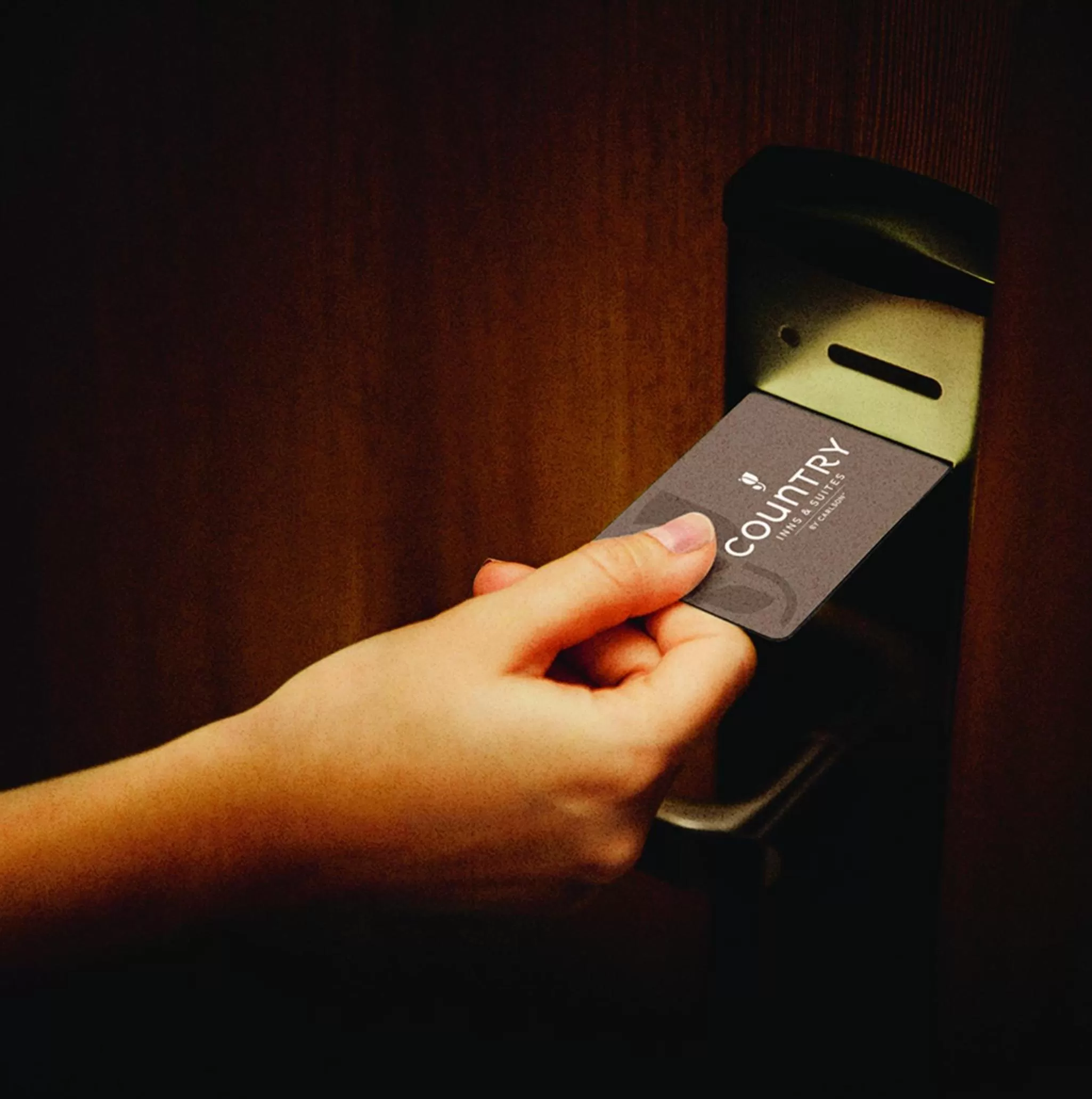 Decorative detail in Country Inn & Suites by Radisson Albertville near Outlet Mall