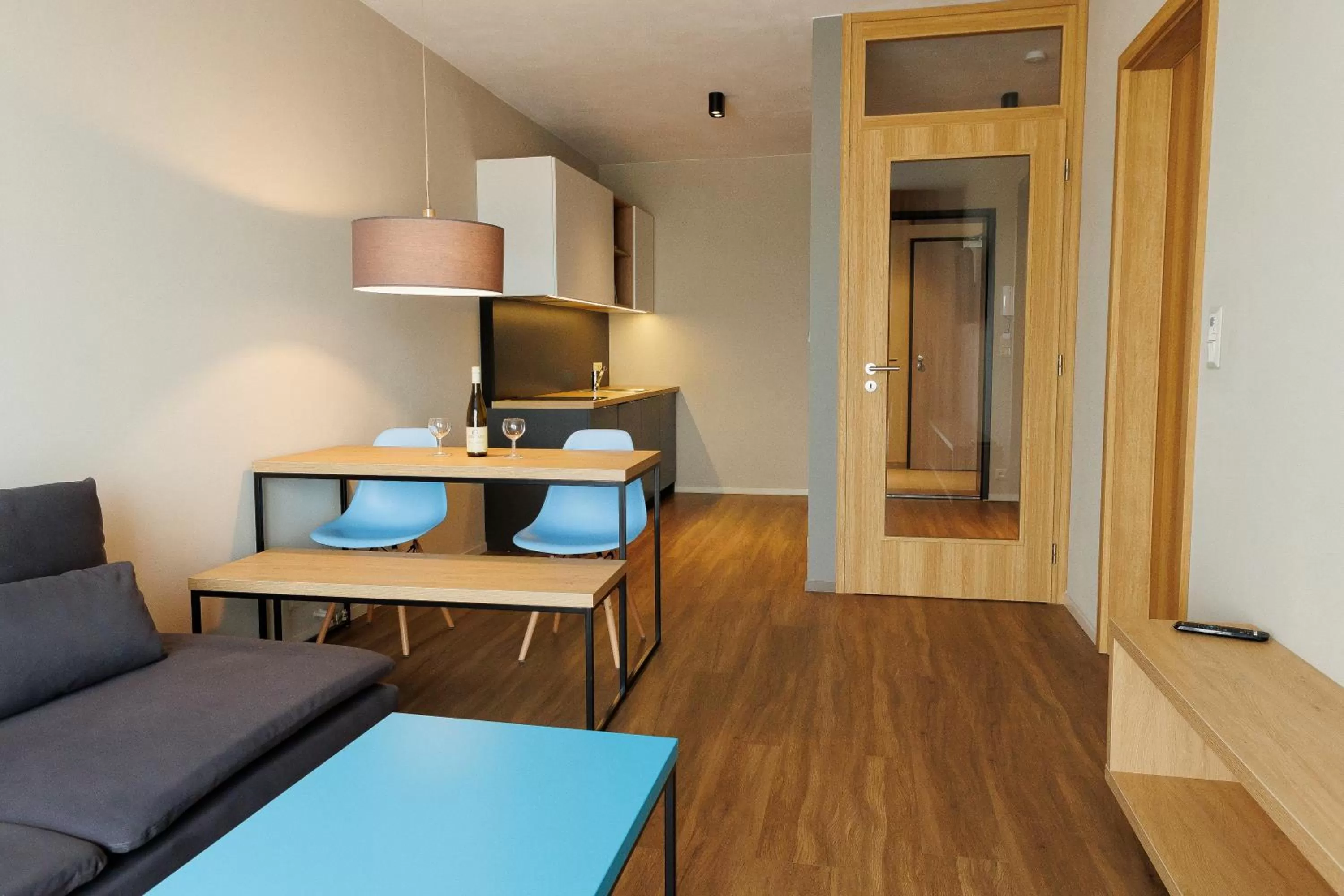 Living room in Avenue Pallova 28