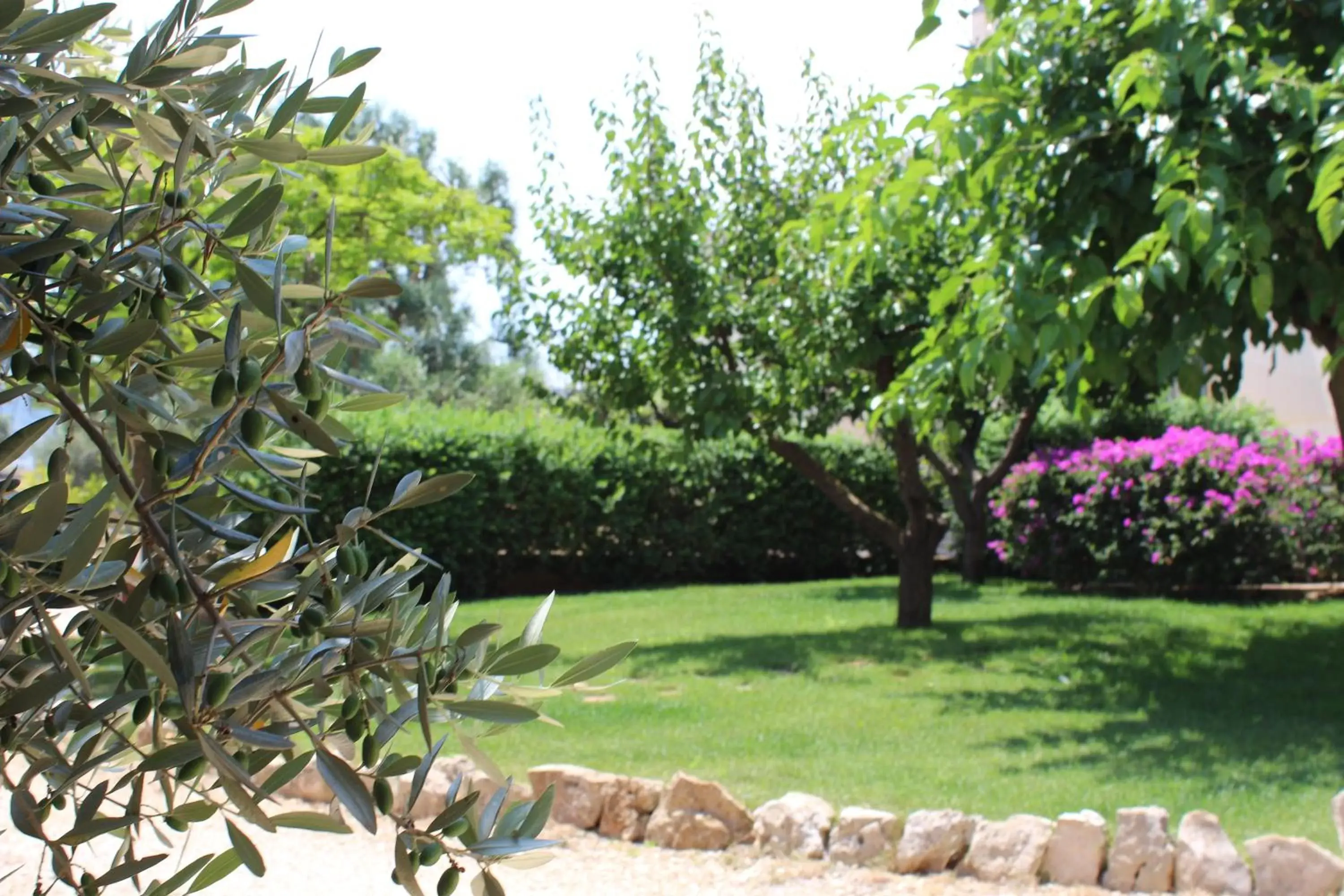 Garden view, Garden in Villa Narducci