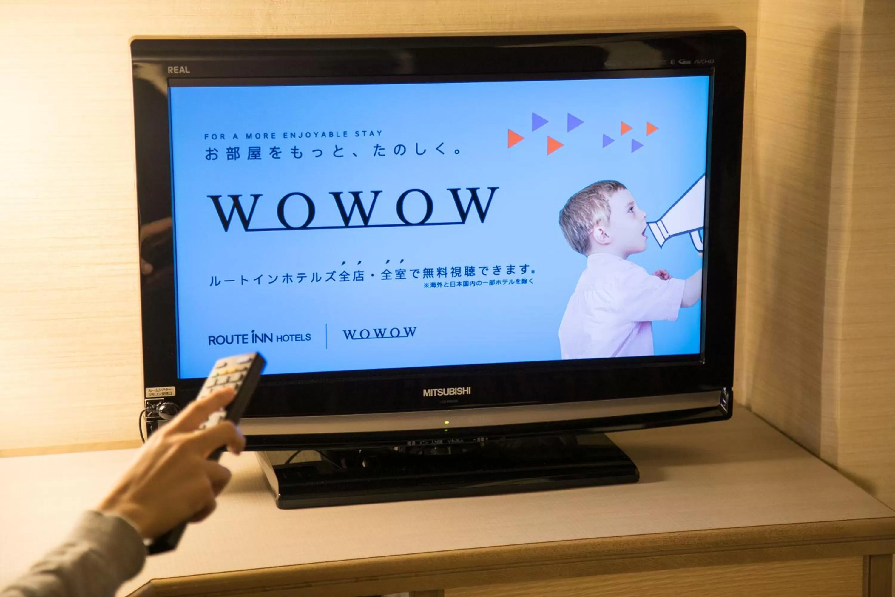 TV and multimedia in Ark Hotel Okayama -ROUTE INN HOTELS-