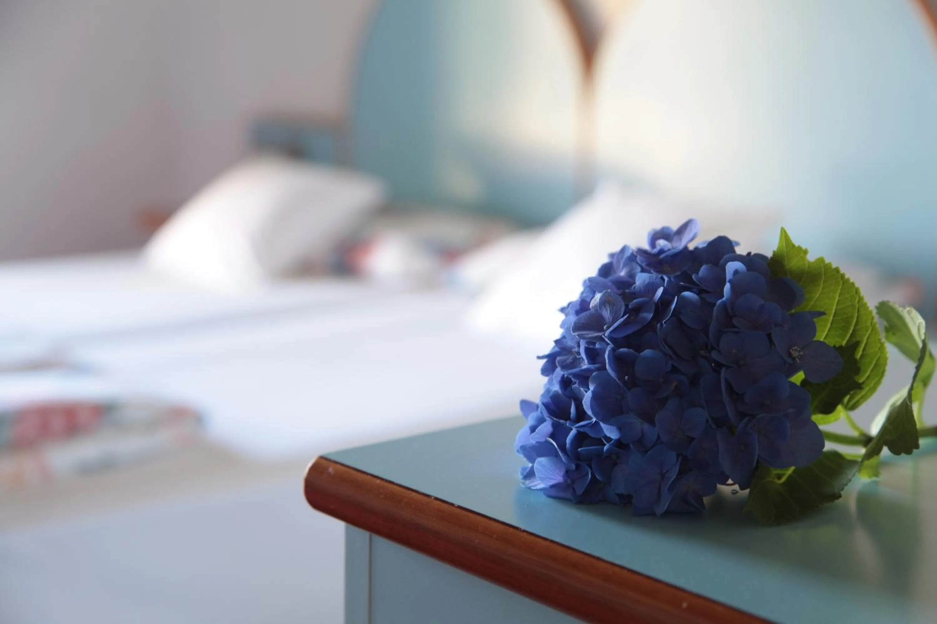 Decorative detail, Bed in Hotel San Filis