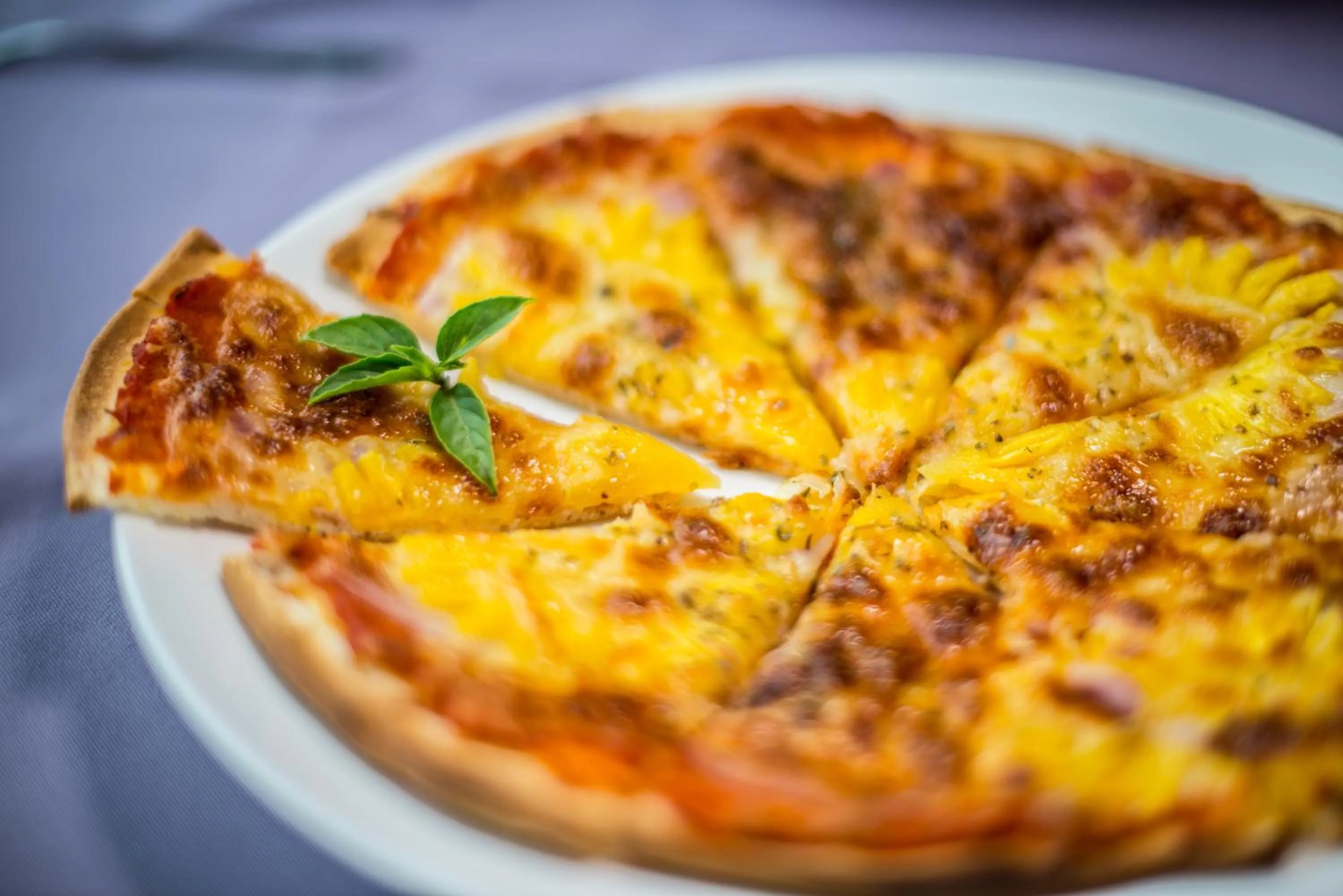 Food and drinks in JK Resident