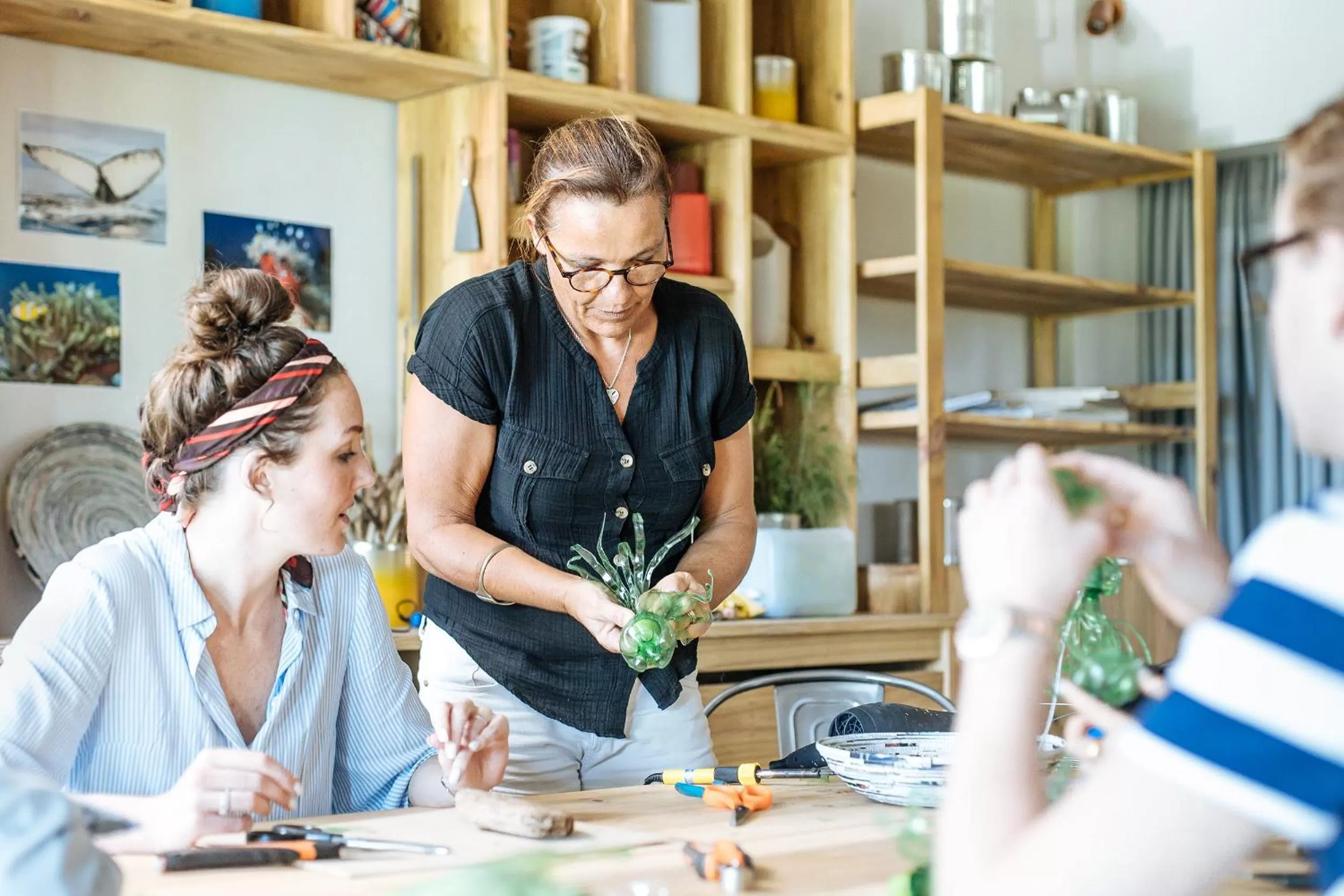 Activities in Lagoon Attitude (Adults Only)