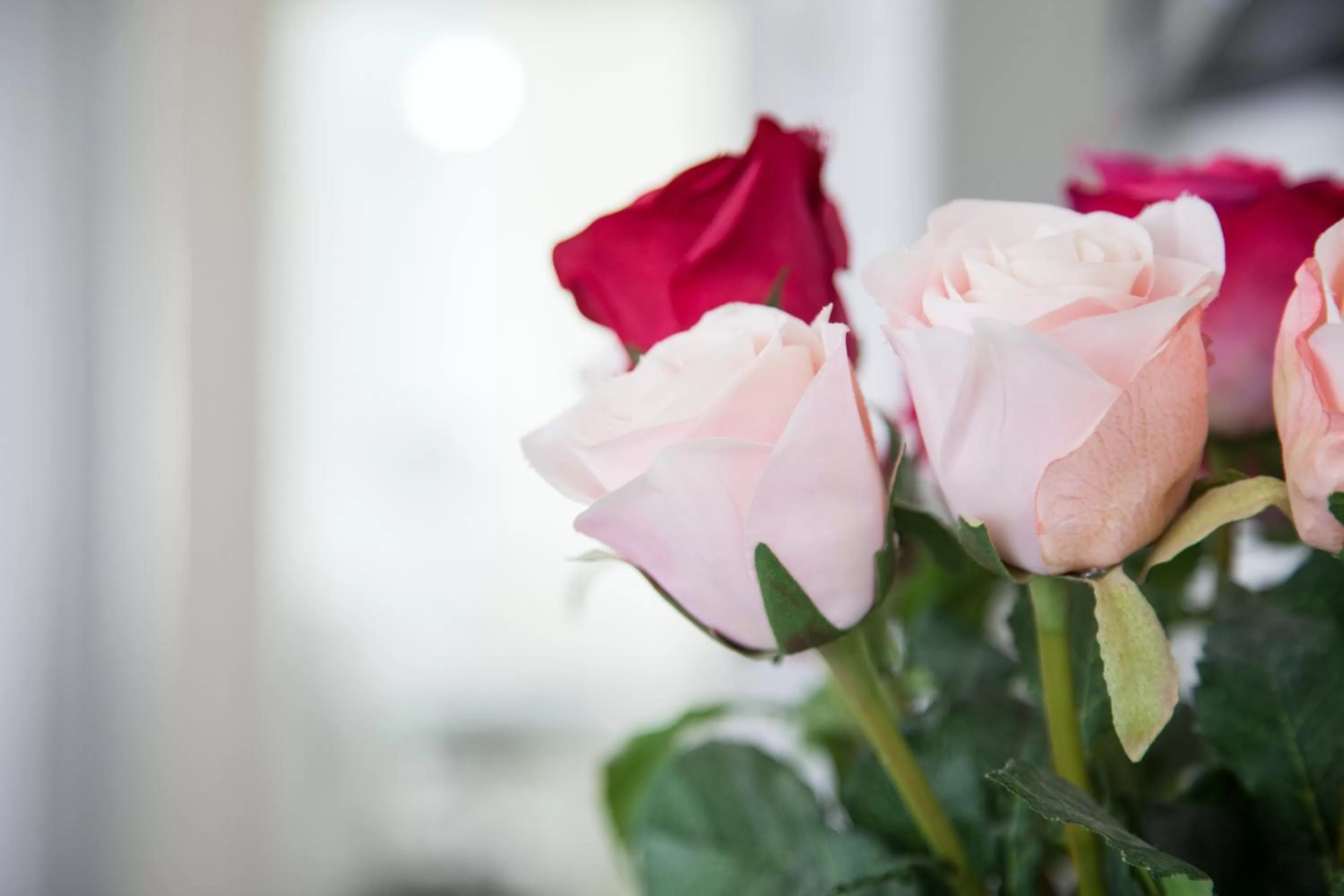 Property building in B&B Rosaly