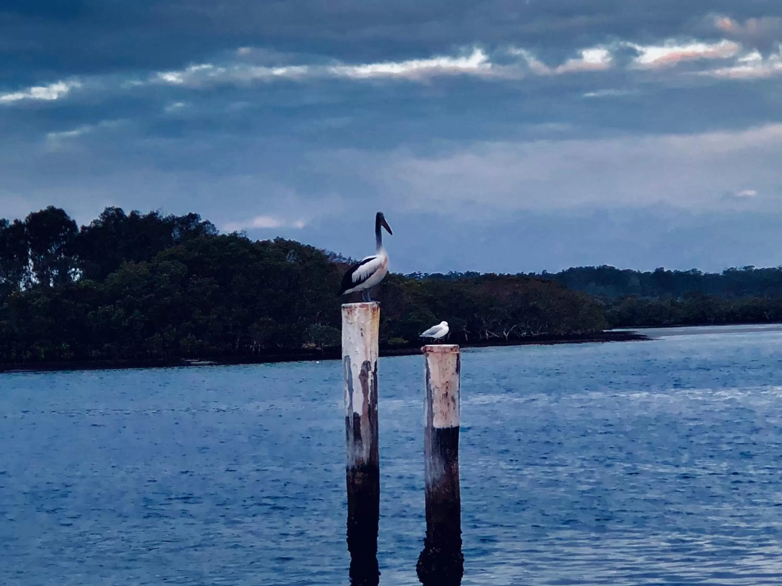 Boathouse Resort (Water Front)