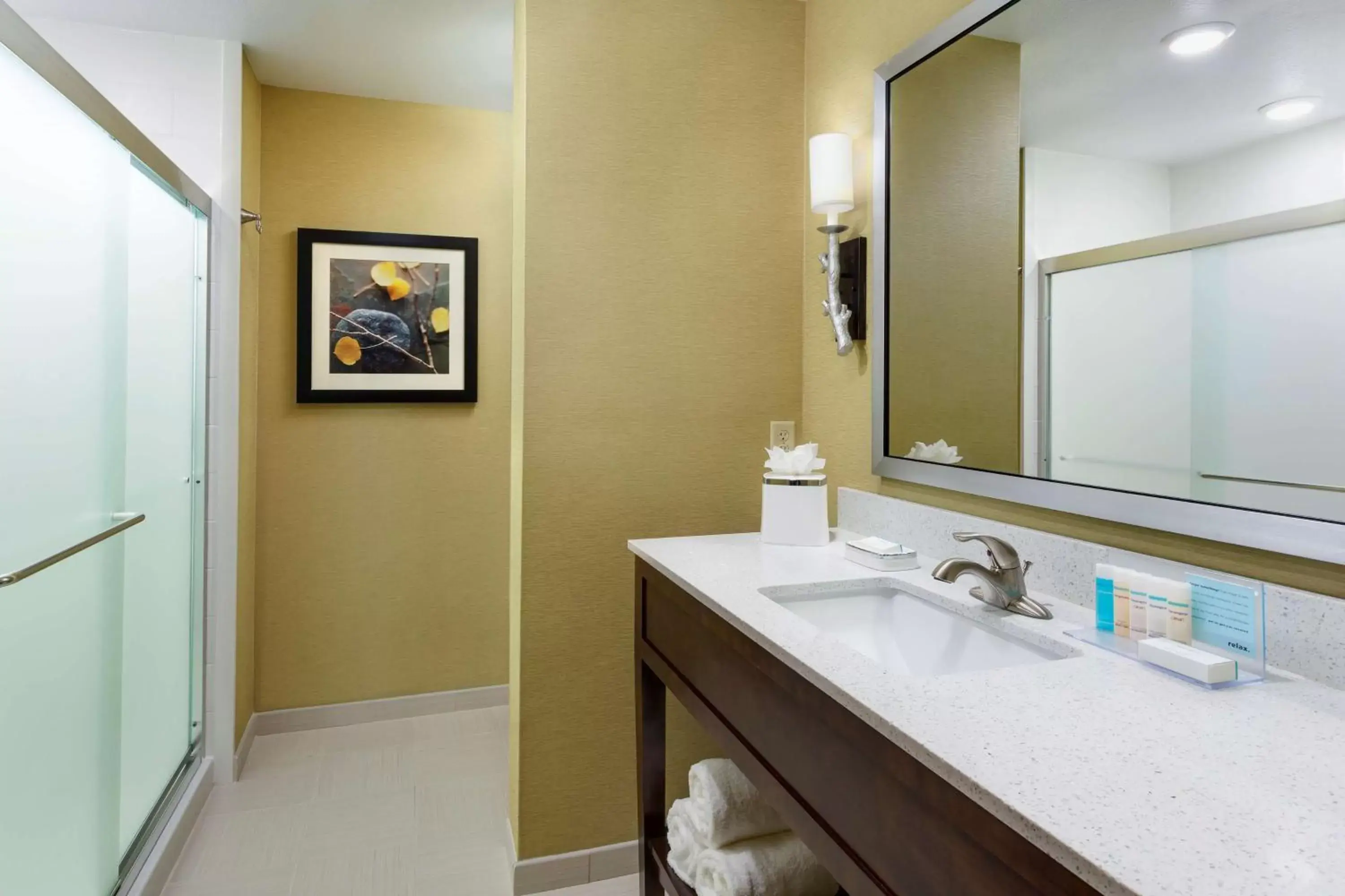 Bathroom in Hampton Inn & Suites Williamsport - Faxon Exit