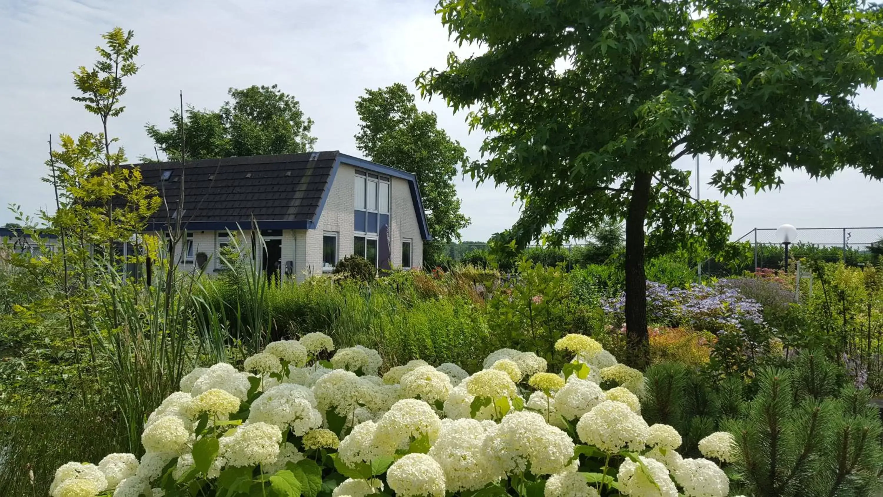 Garden, Property Building in B&B Bovenweg