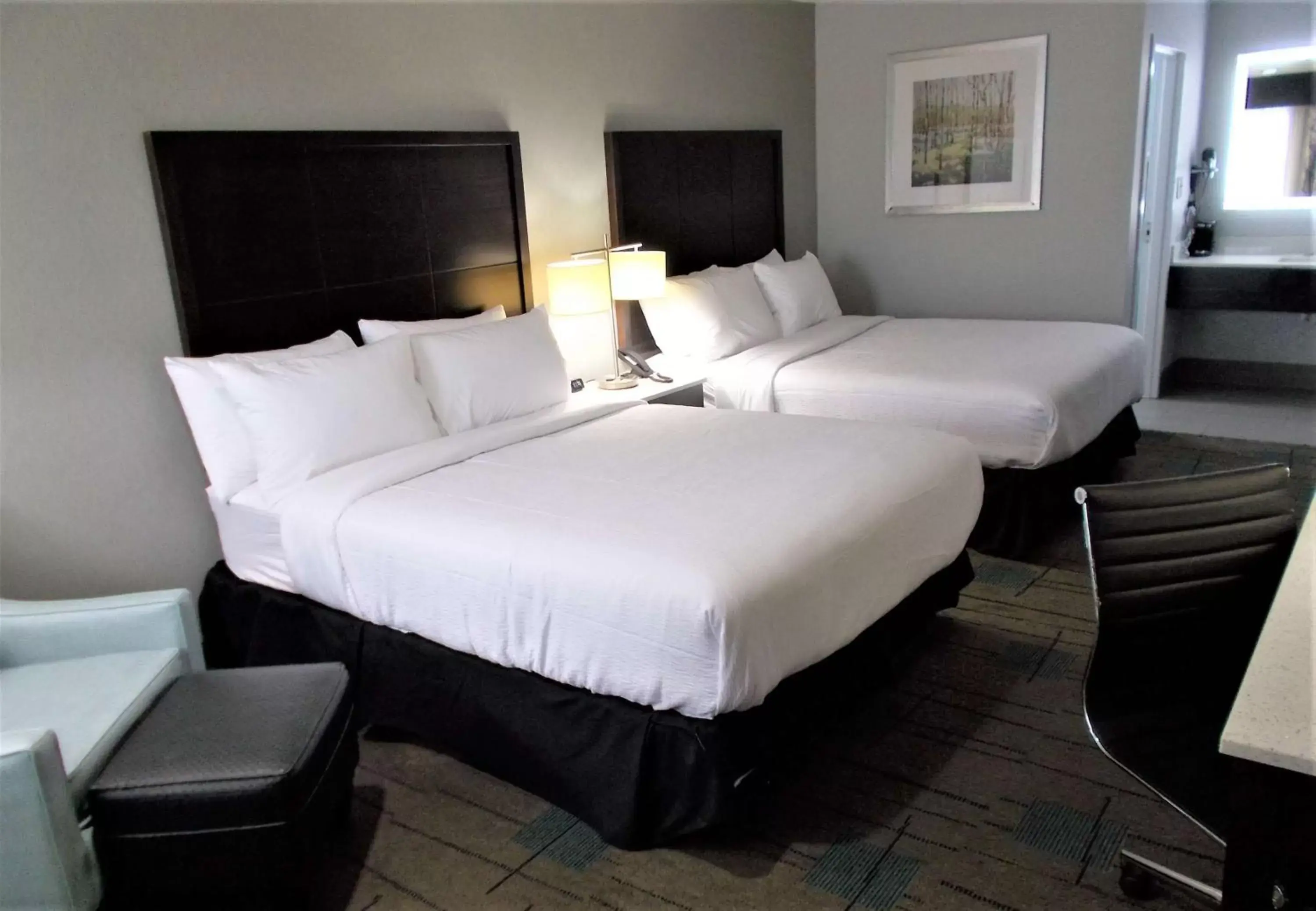 Photo of the whole room, Bed in SureStay Hotel by Best Western Richland