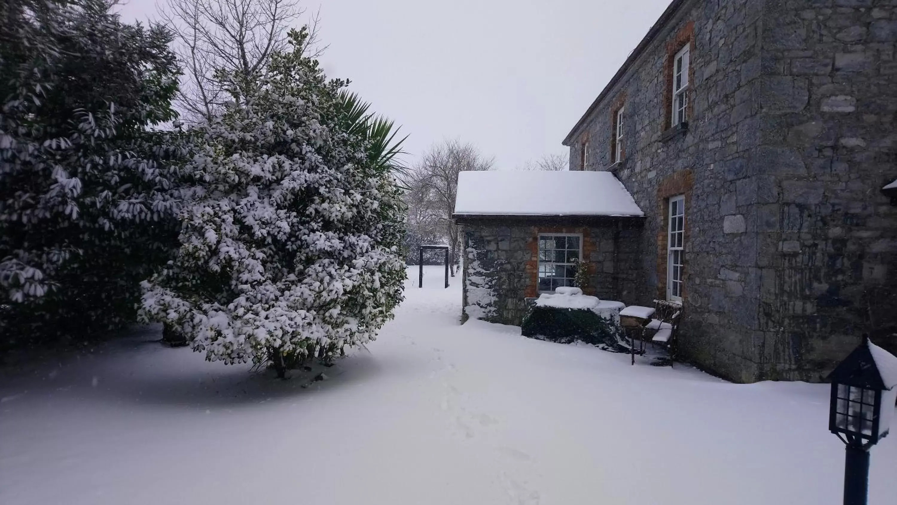 On site, Winter in Knockaderry House