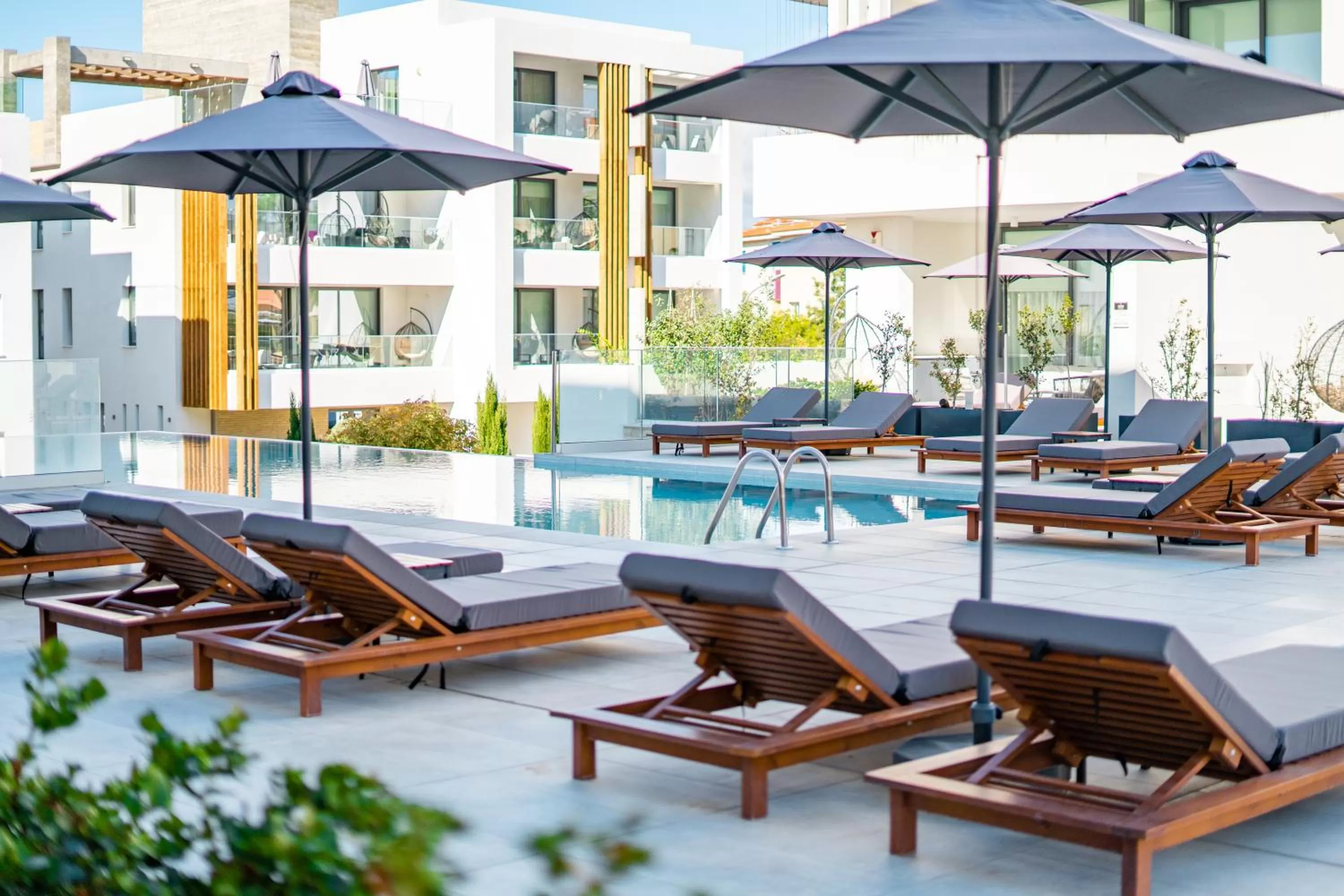 Day in Downtown Park