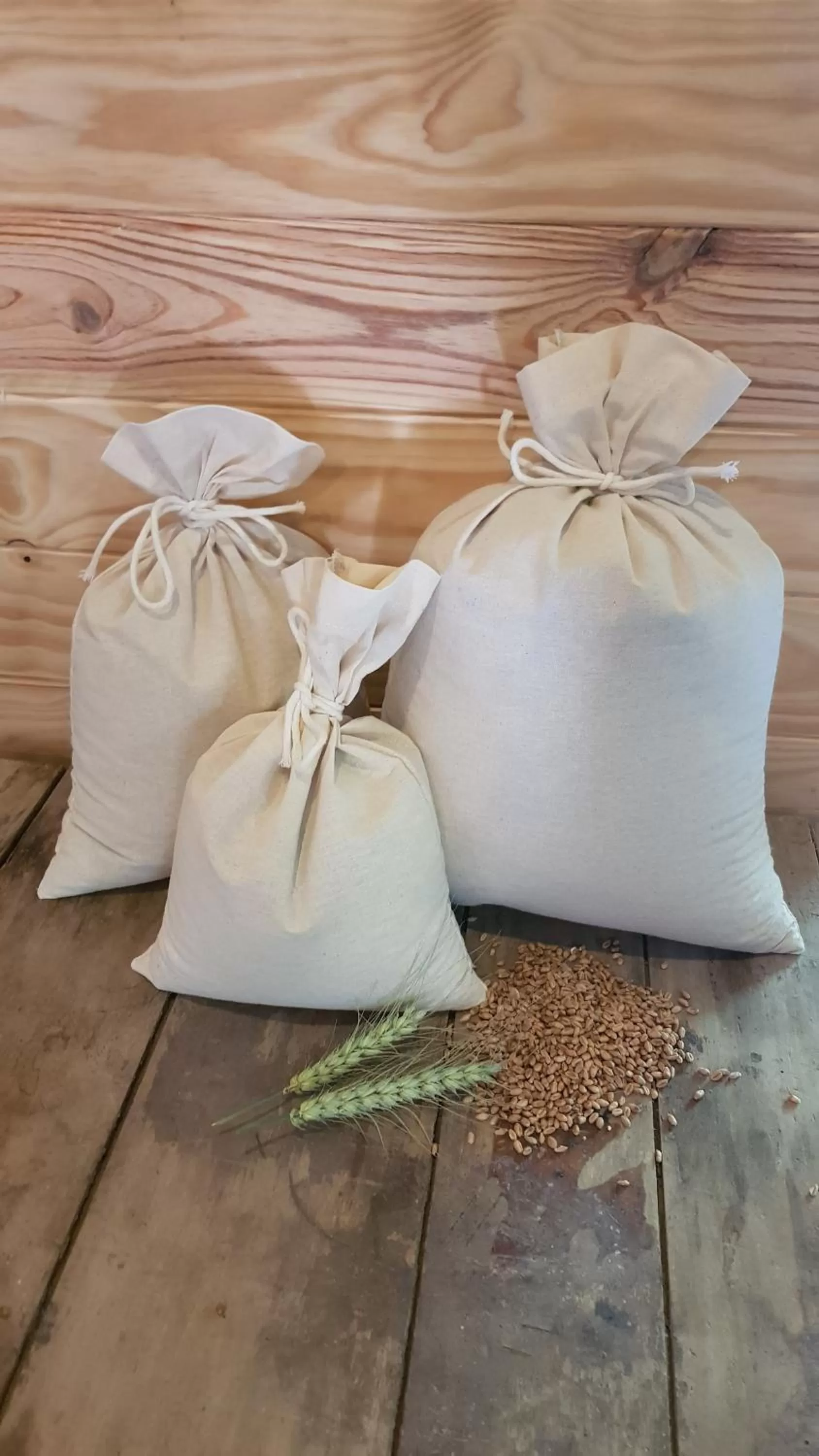 Decorative detail in Moulin2Roues