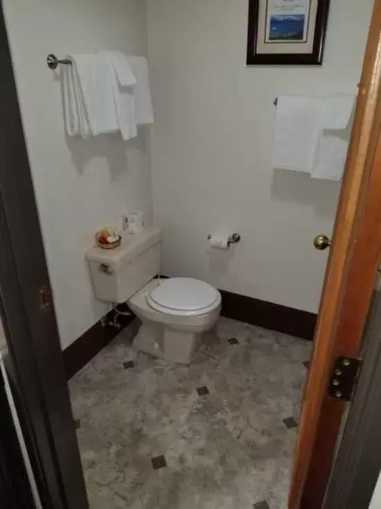 Toilet, Bathroom in Hotel Seward