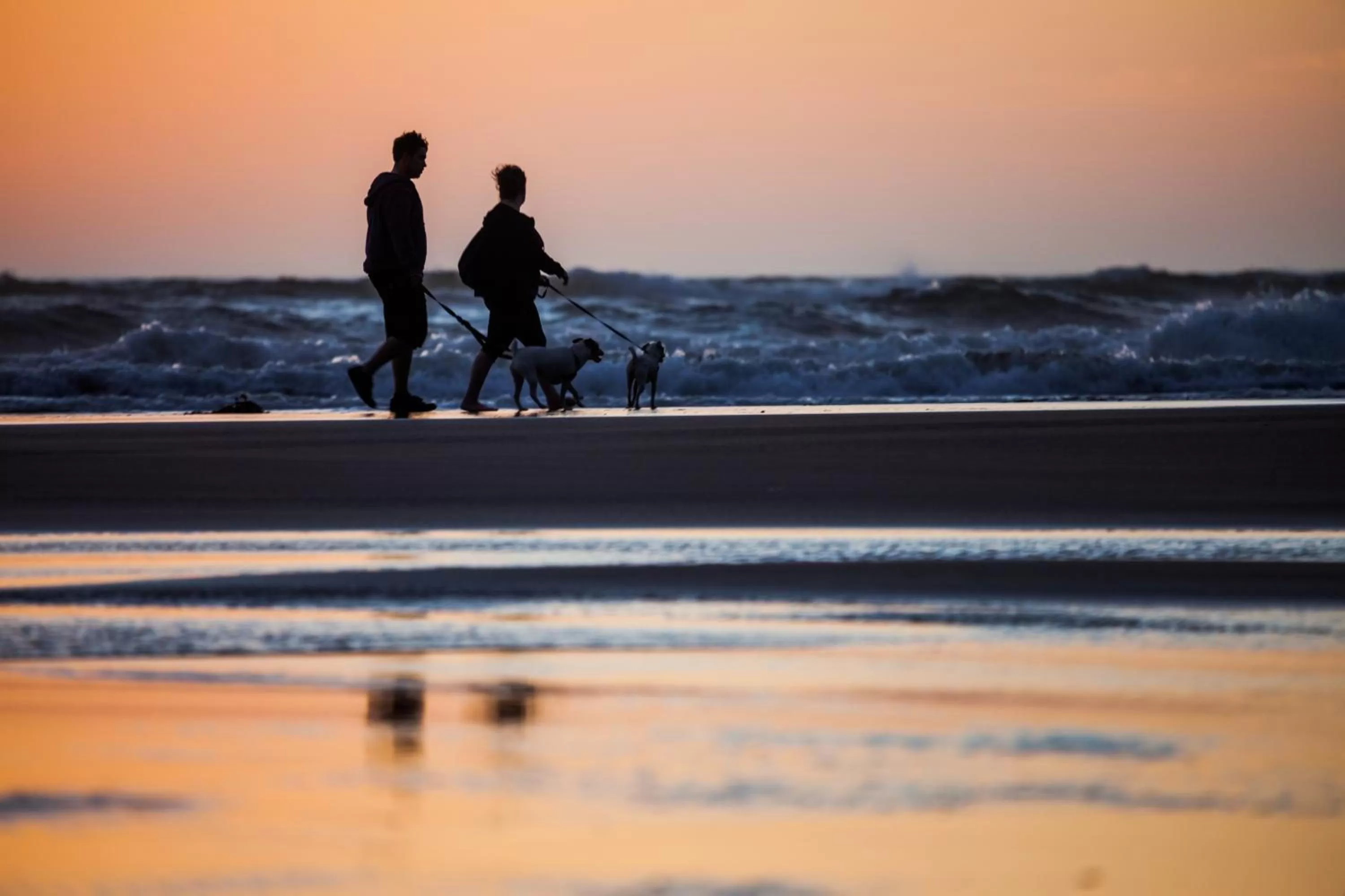 Beach in Inn at Cannon Beach