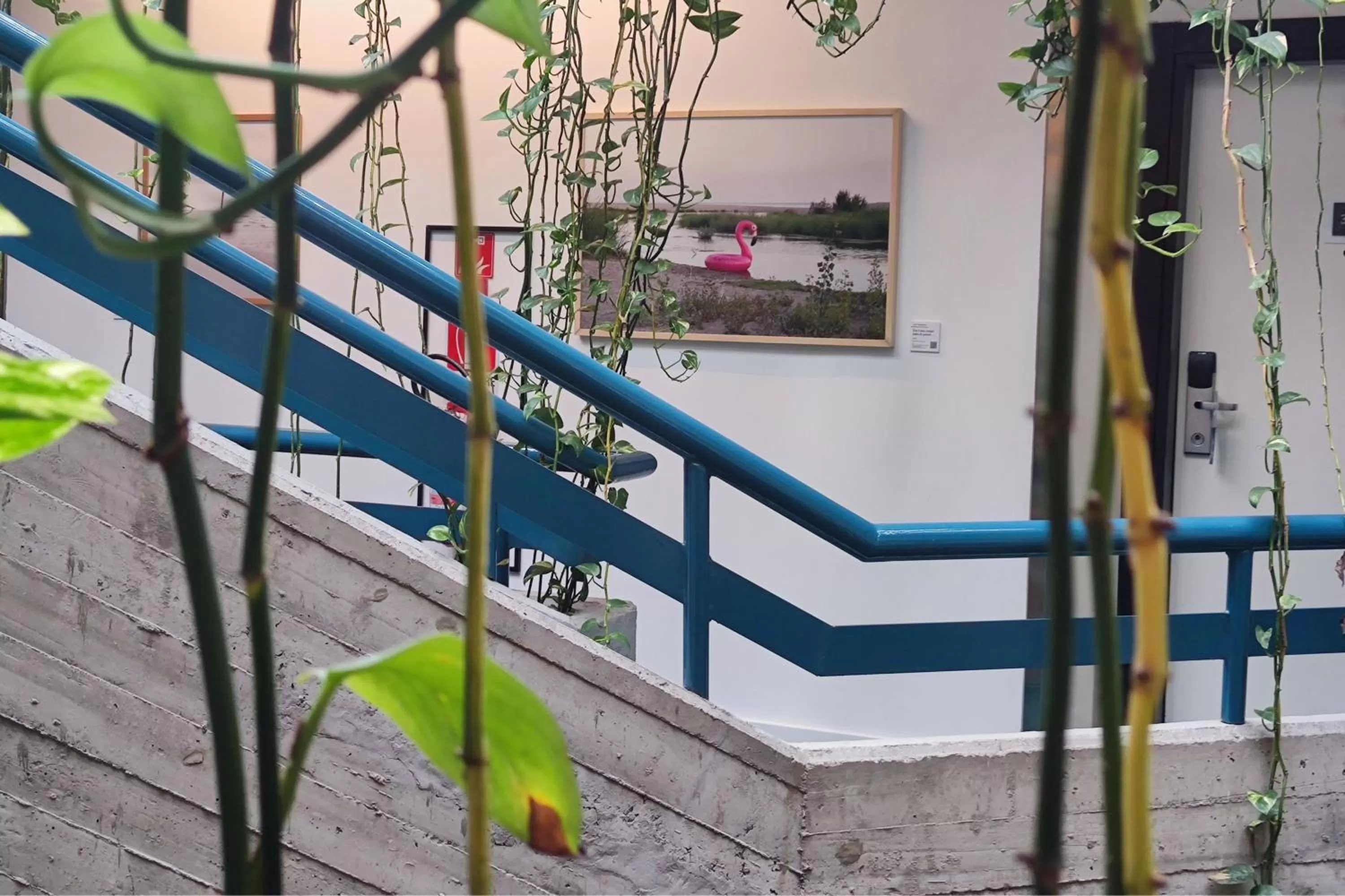 Other in Four Points by Sheraton Catania Hotel