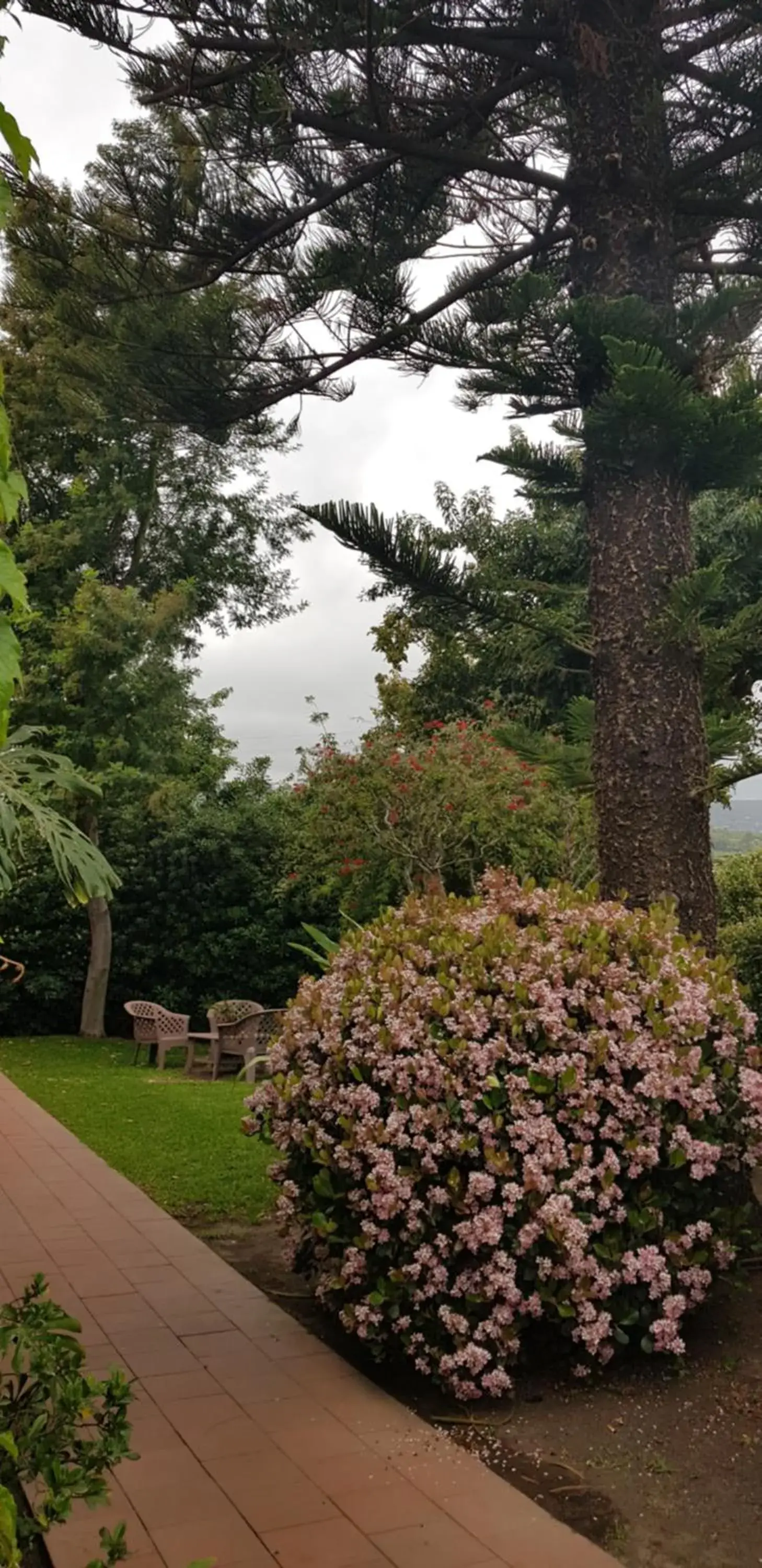 Garden in Etna Hotel