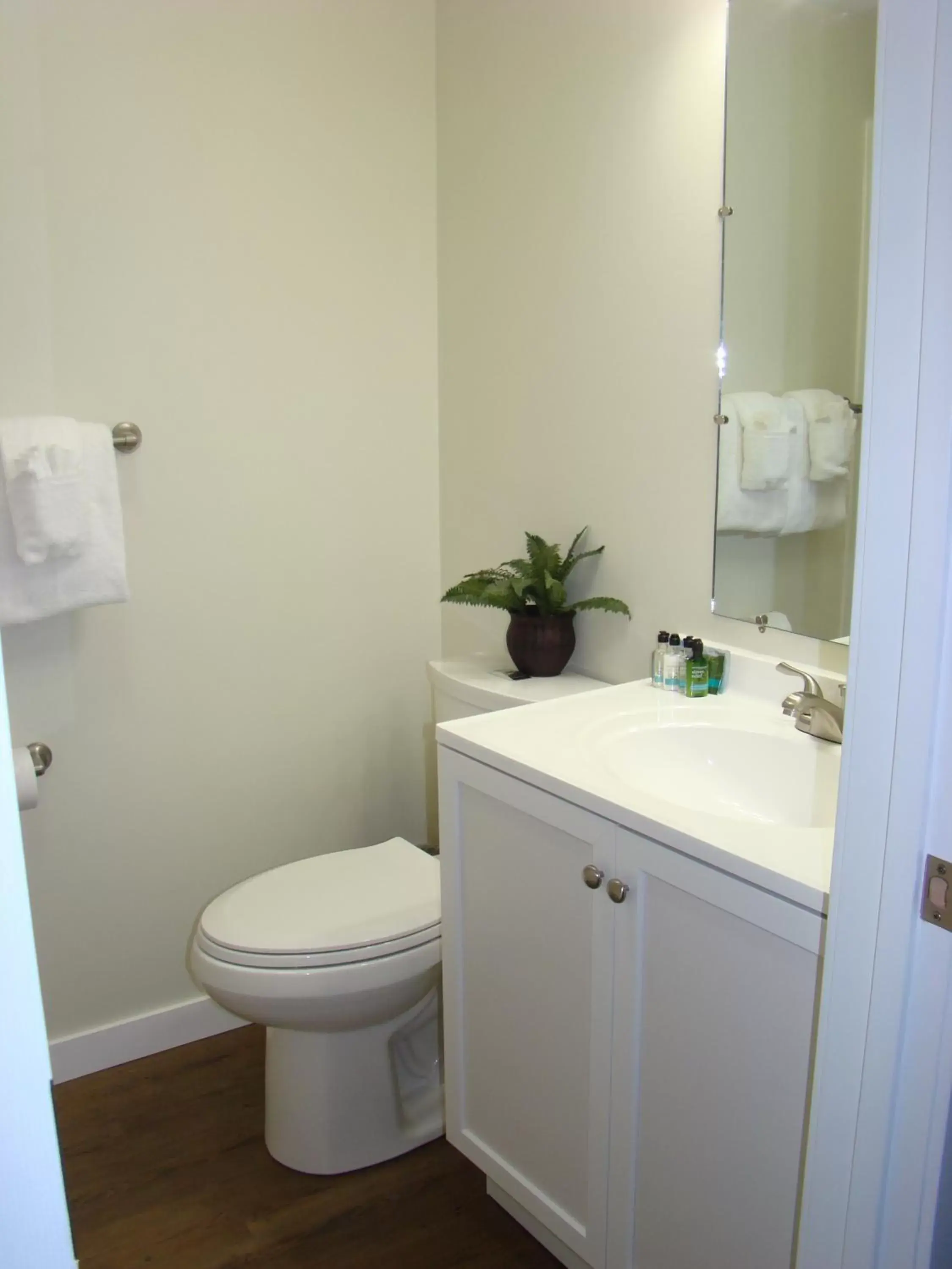 Bathroom in Paddock Inn