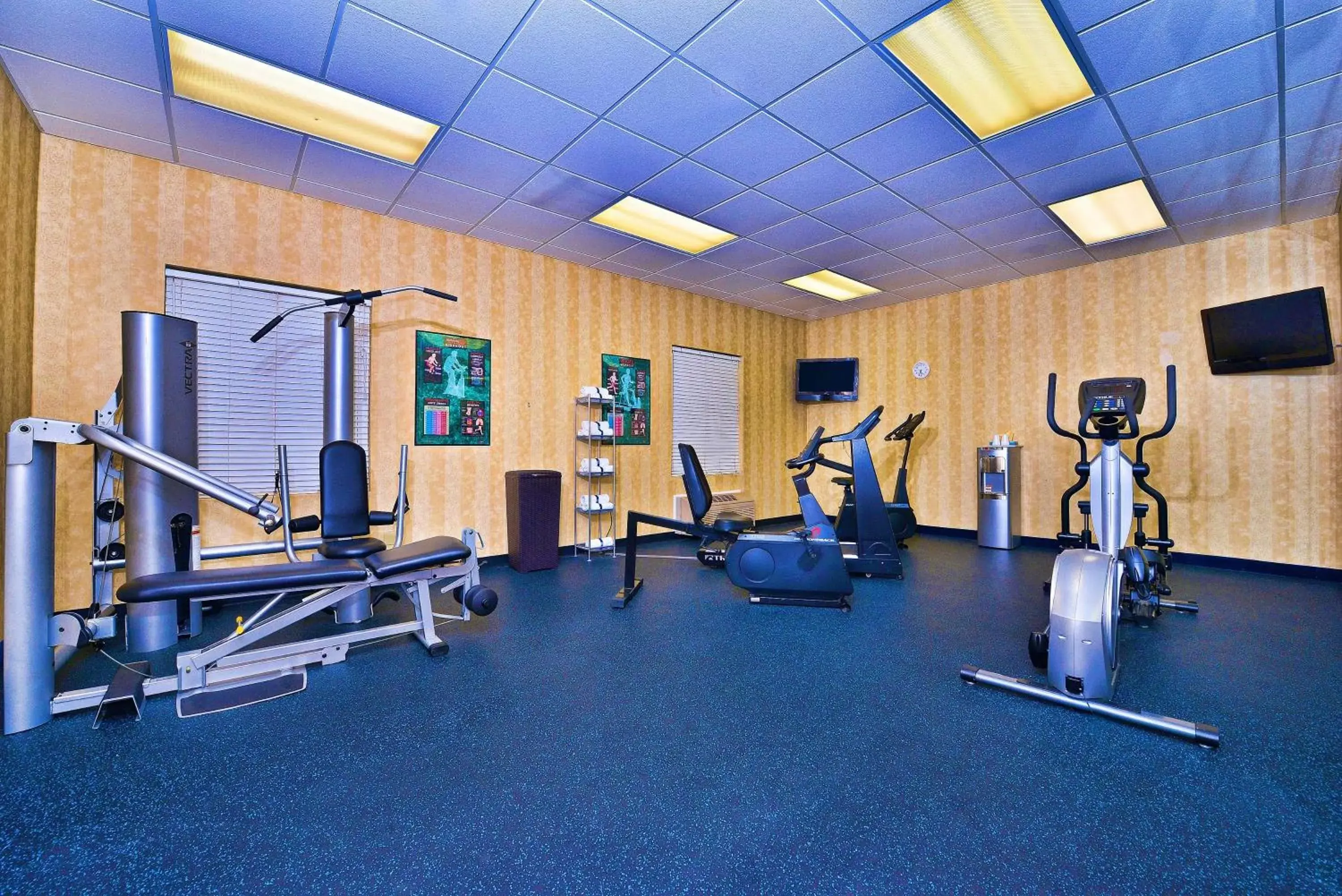 Fitness centre/facilities, Fitness Center/Facilities in Best Western Plus Savannah Airport Inn and Suites