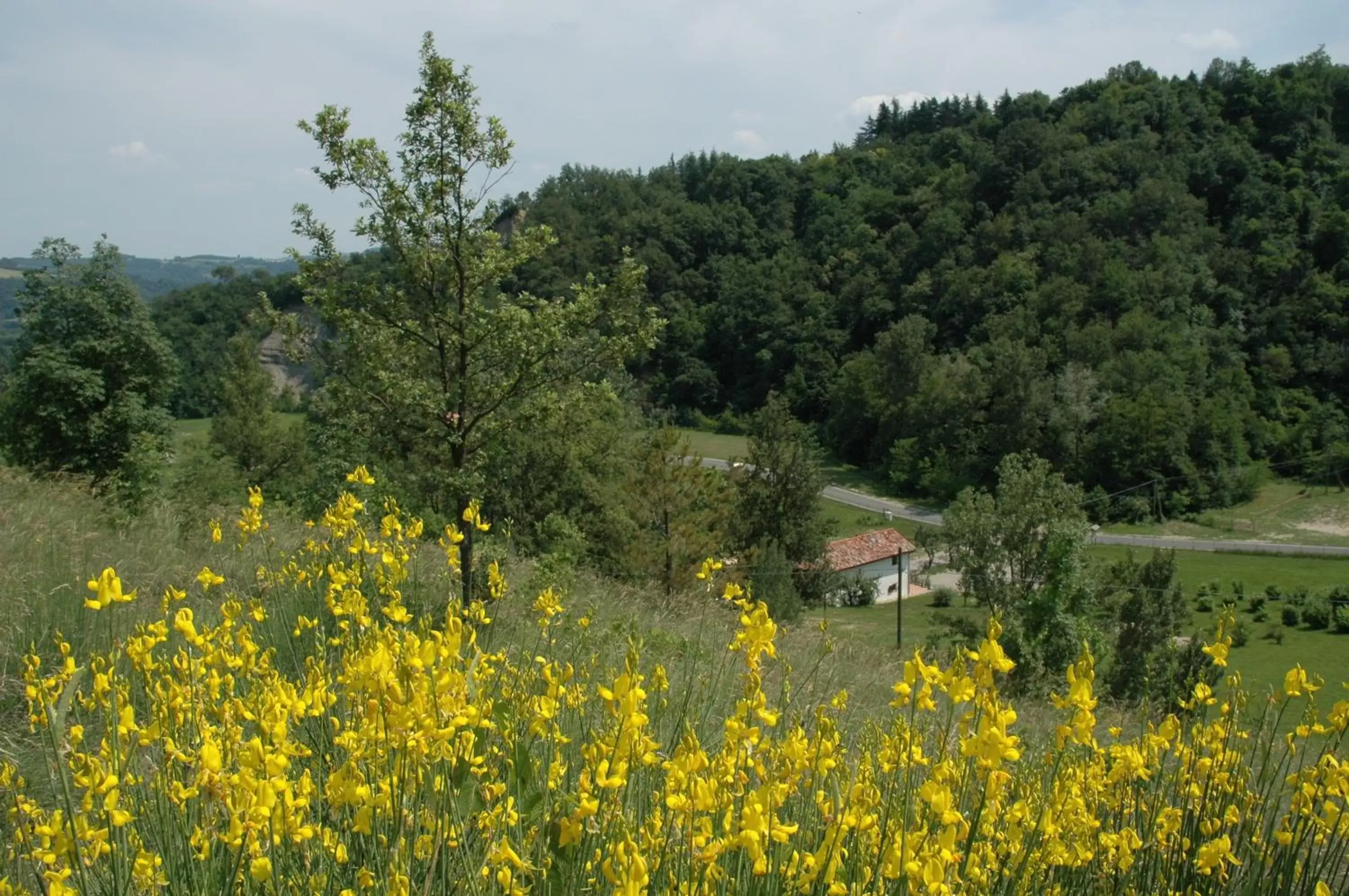 Area and facilities in Agriturismo Rio Verde