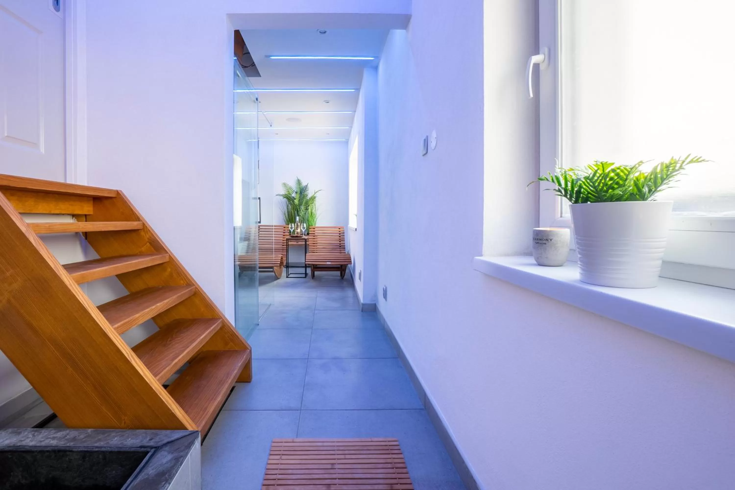 Spa and wellness centre/facilities in Wellness Apartmány Vila Republika