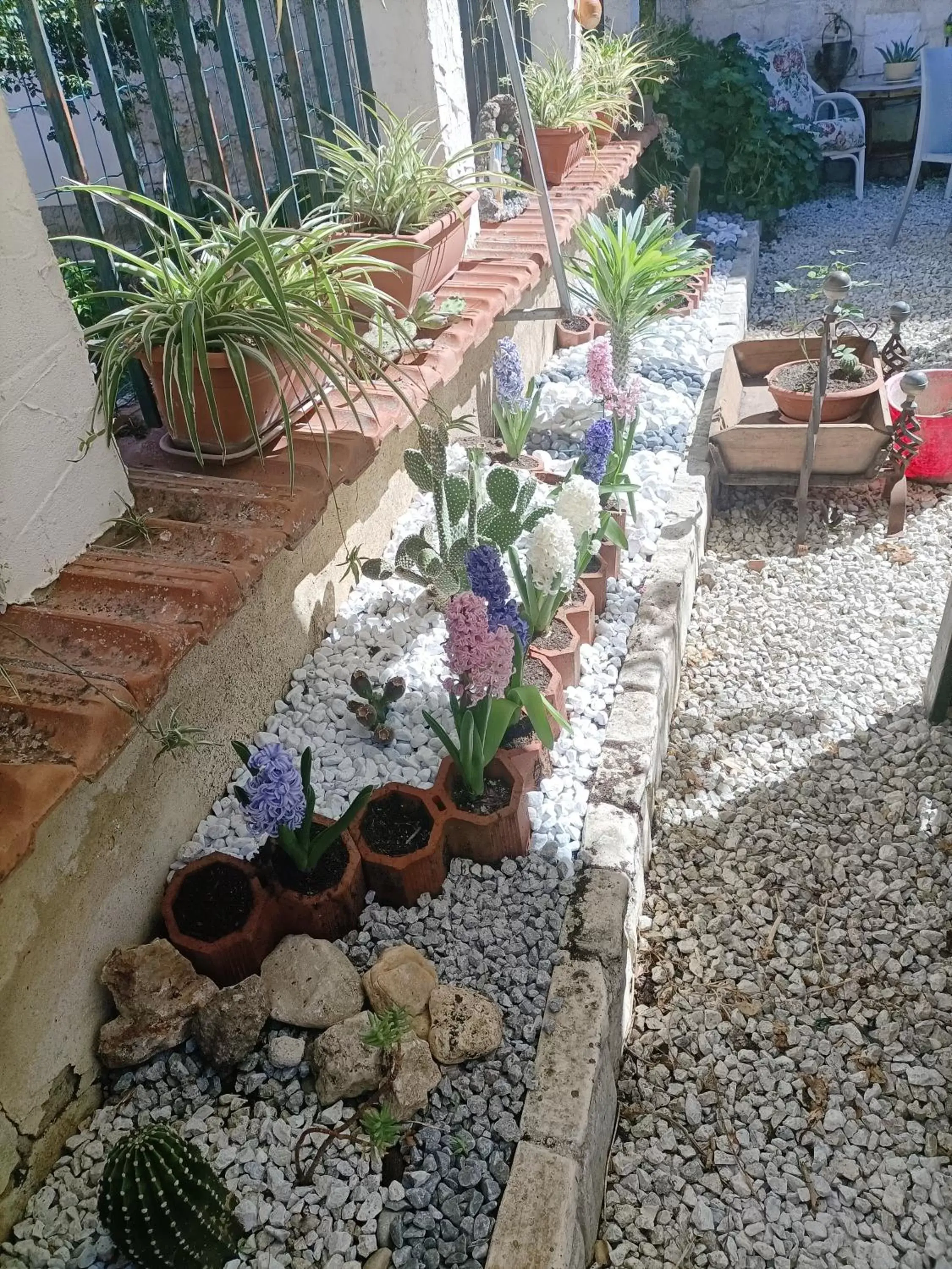 Garden in La Casa In Pietra