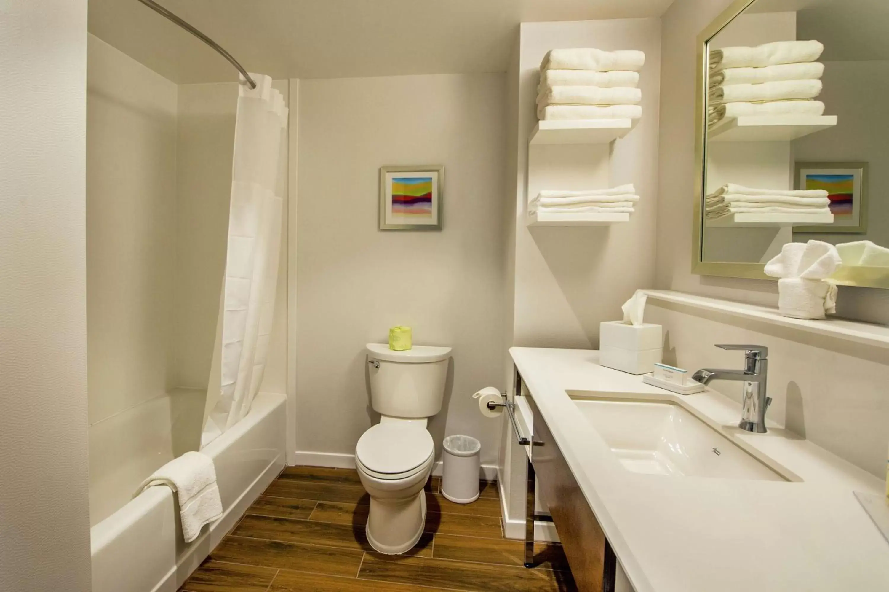 Bathroom in Hampton Inn & Suites/Foxborough/Mansfield