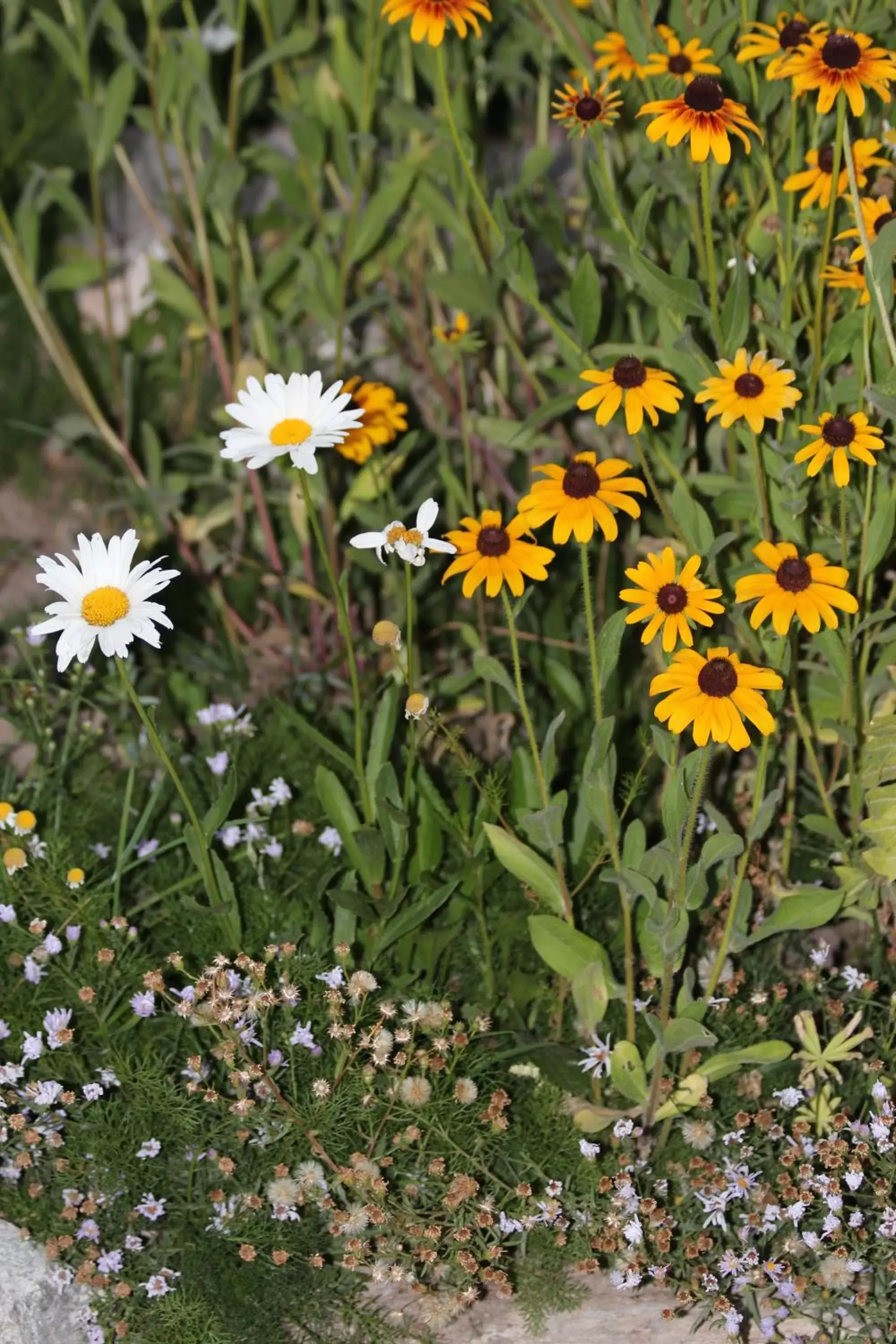 Other, Garden in Flat Creek Inn